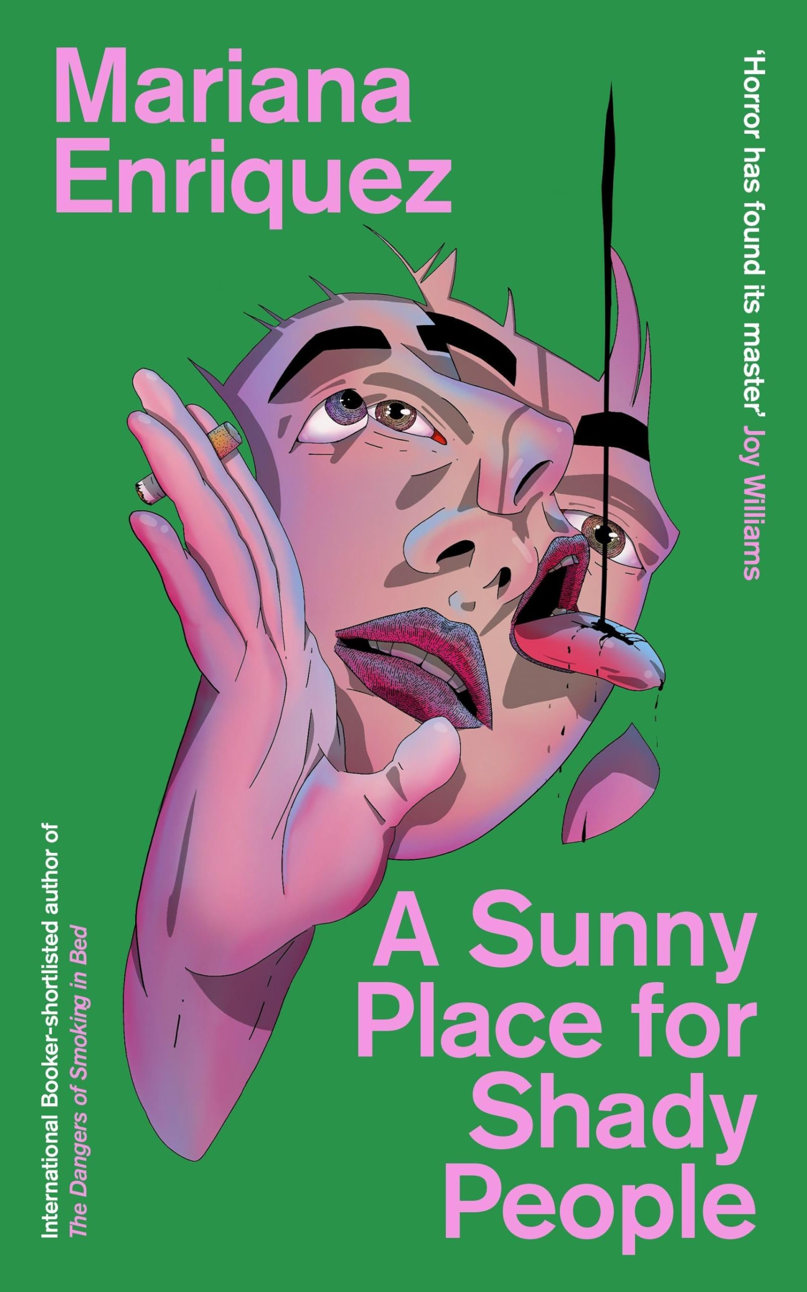 A Sunny Place for Shady People Essays & Short Stories