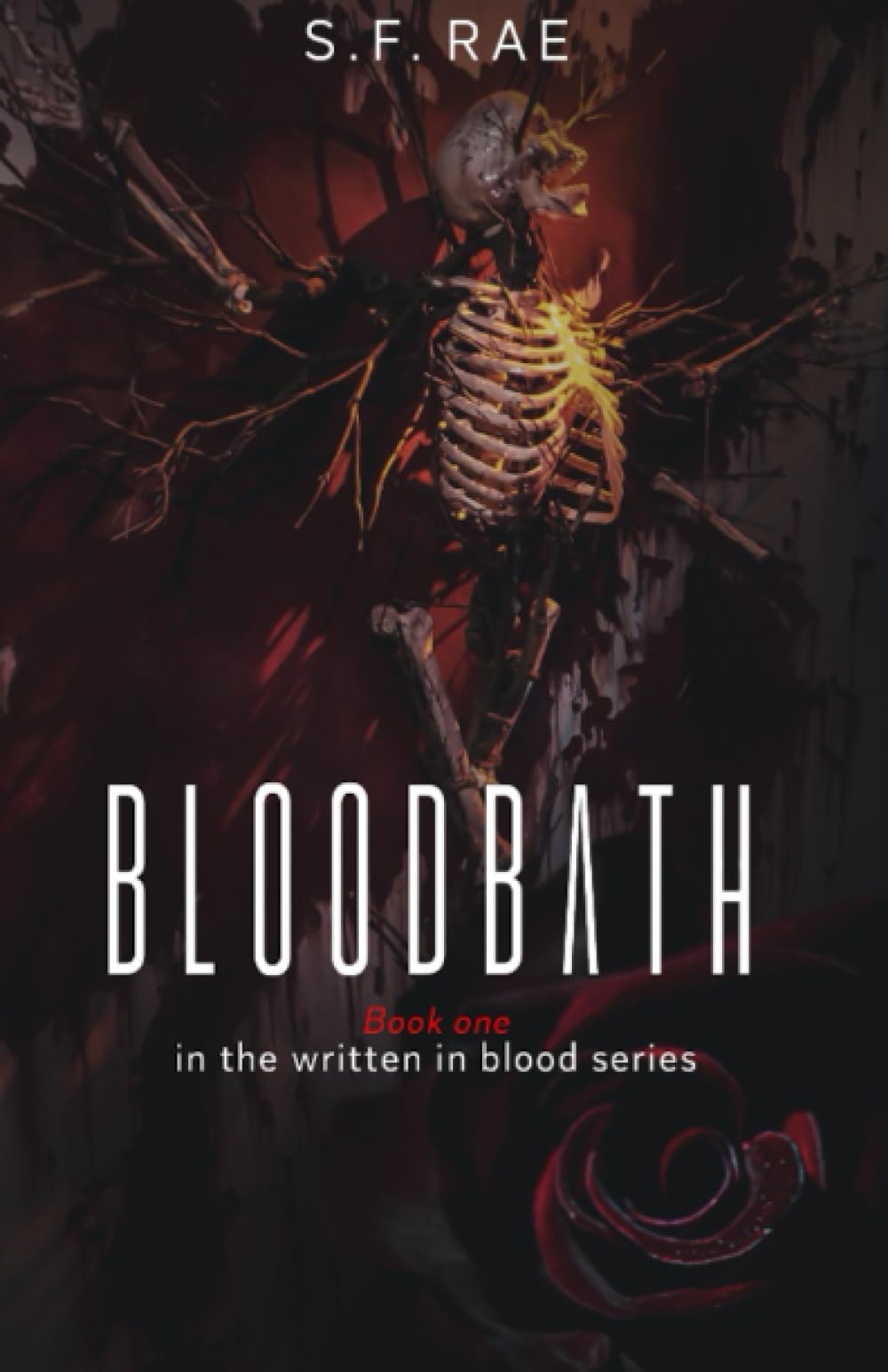 Bloodbath: Book one in the written in blood series Contemporary literature