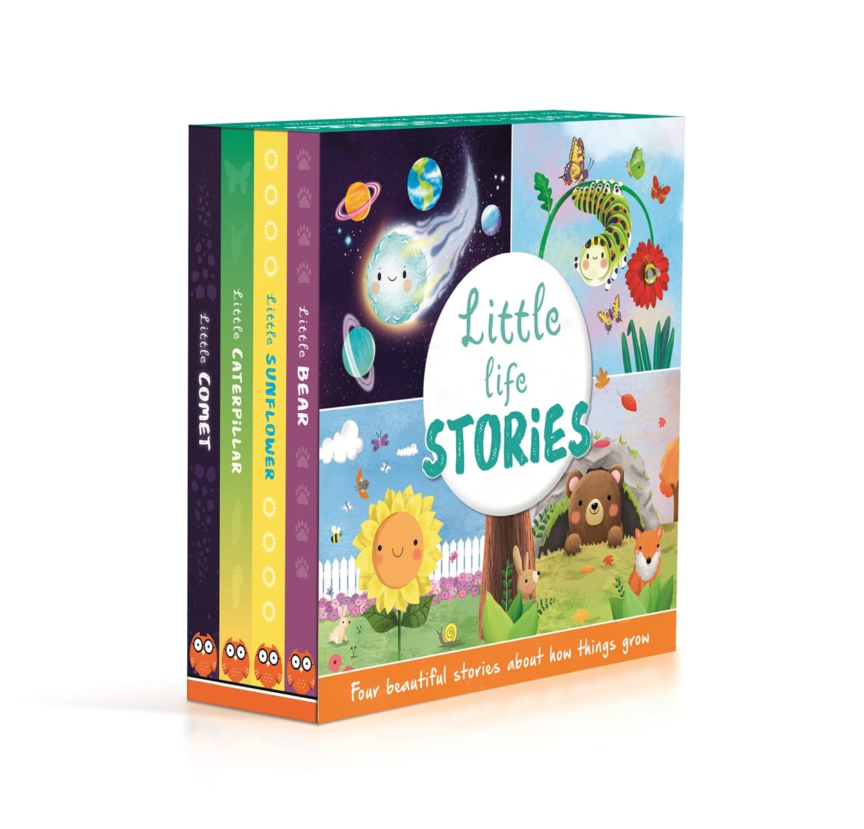 Little Life Stories (Four beautiful stories about how things grow) Non-fiction