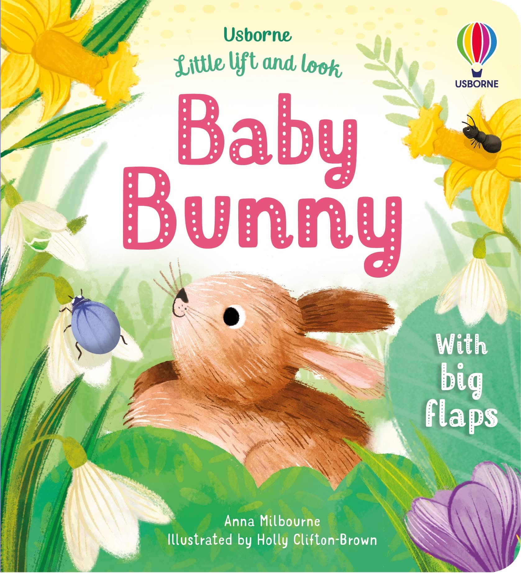Little Lift and Look Baby Bunny book