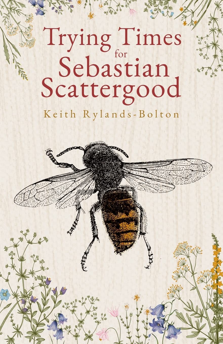 Trying Times for Sebastian Scattergood book