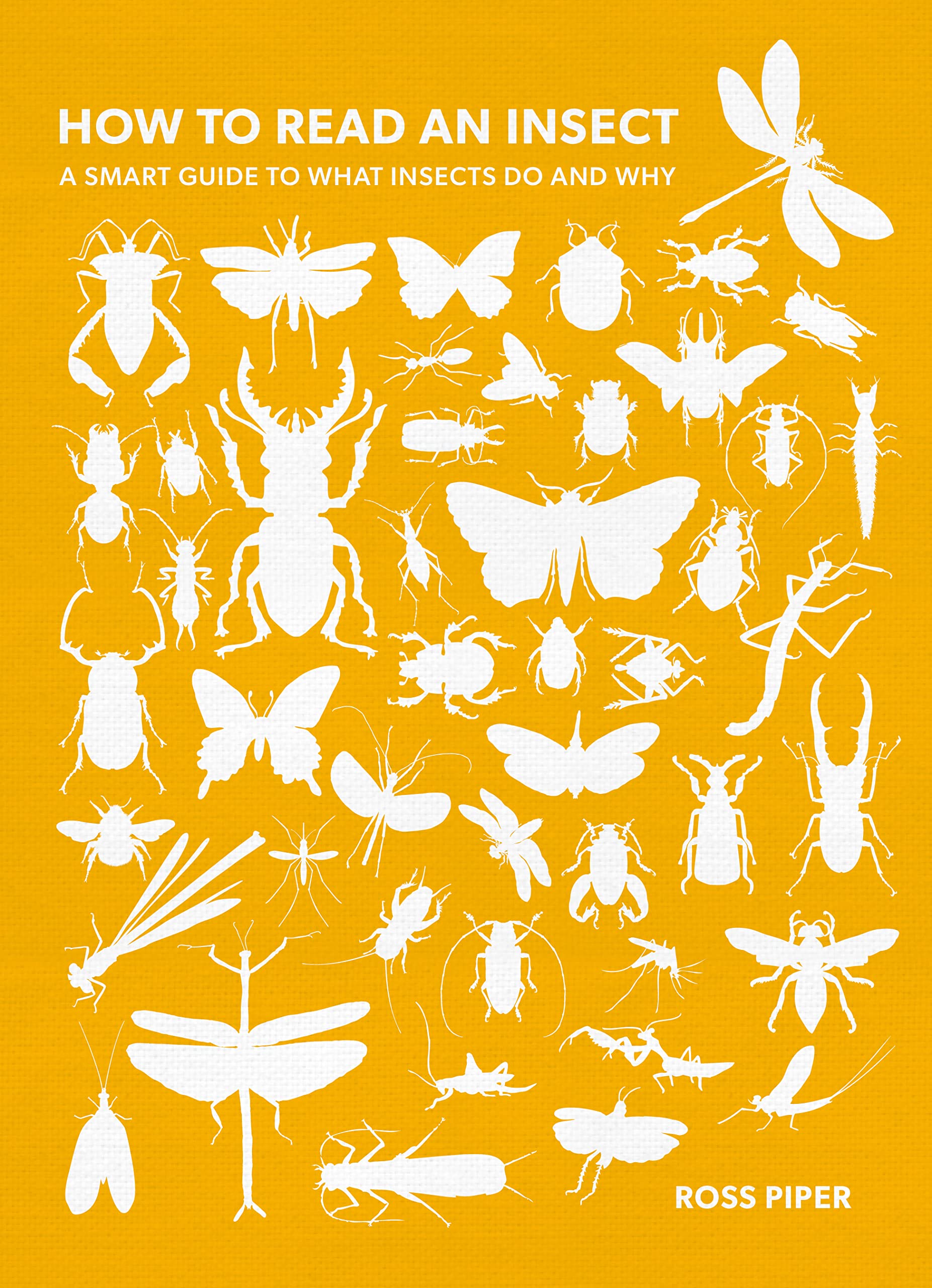 How to Read an Insect: A Smart Guide to What Insects Do and Why book