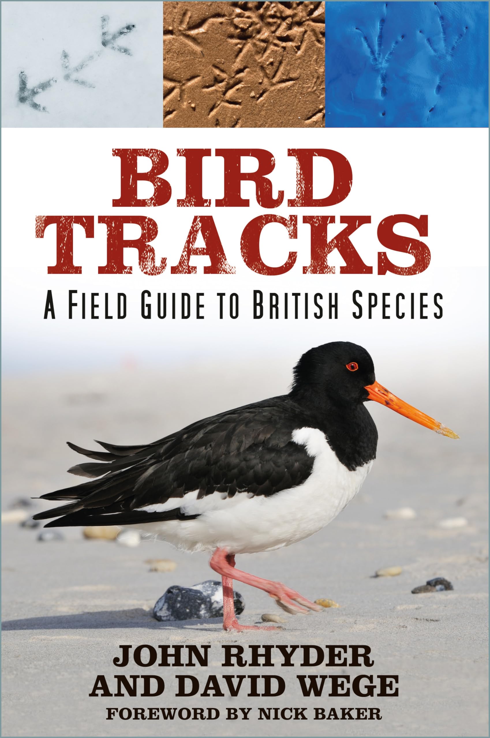 Bird Tracks: A Field Guide to British Species Sports