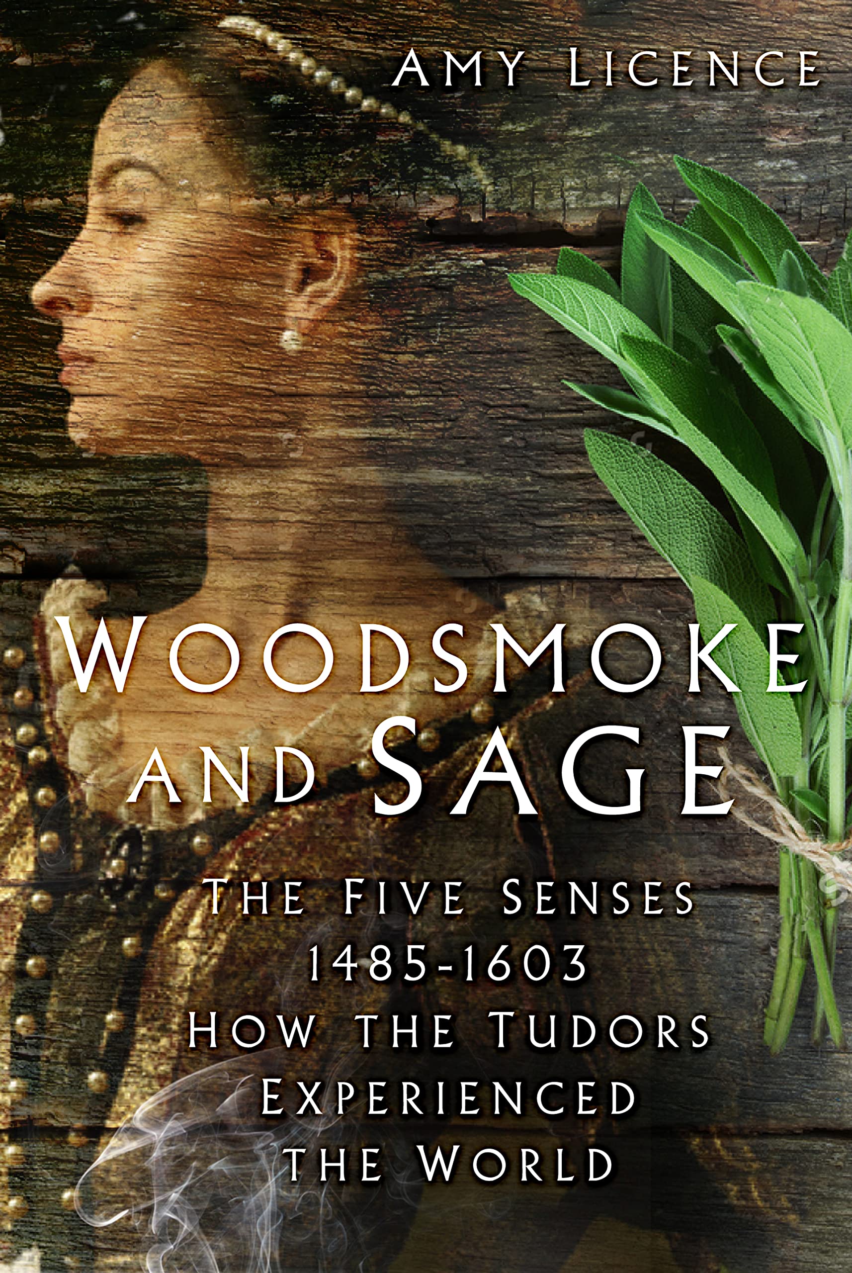 Woodsmoke and Sage: The Five Senses 1485-1603: How the Tudors Experienced the World Politics & History