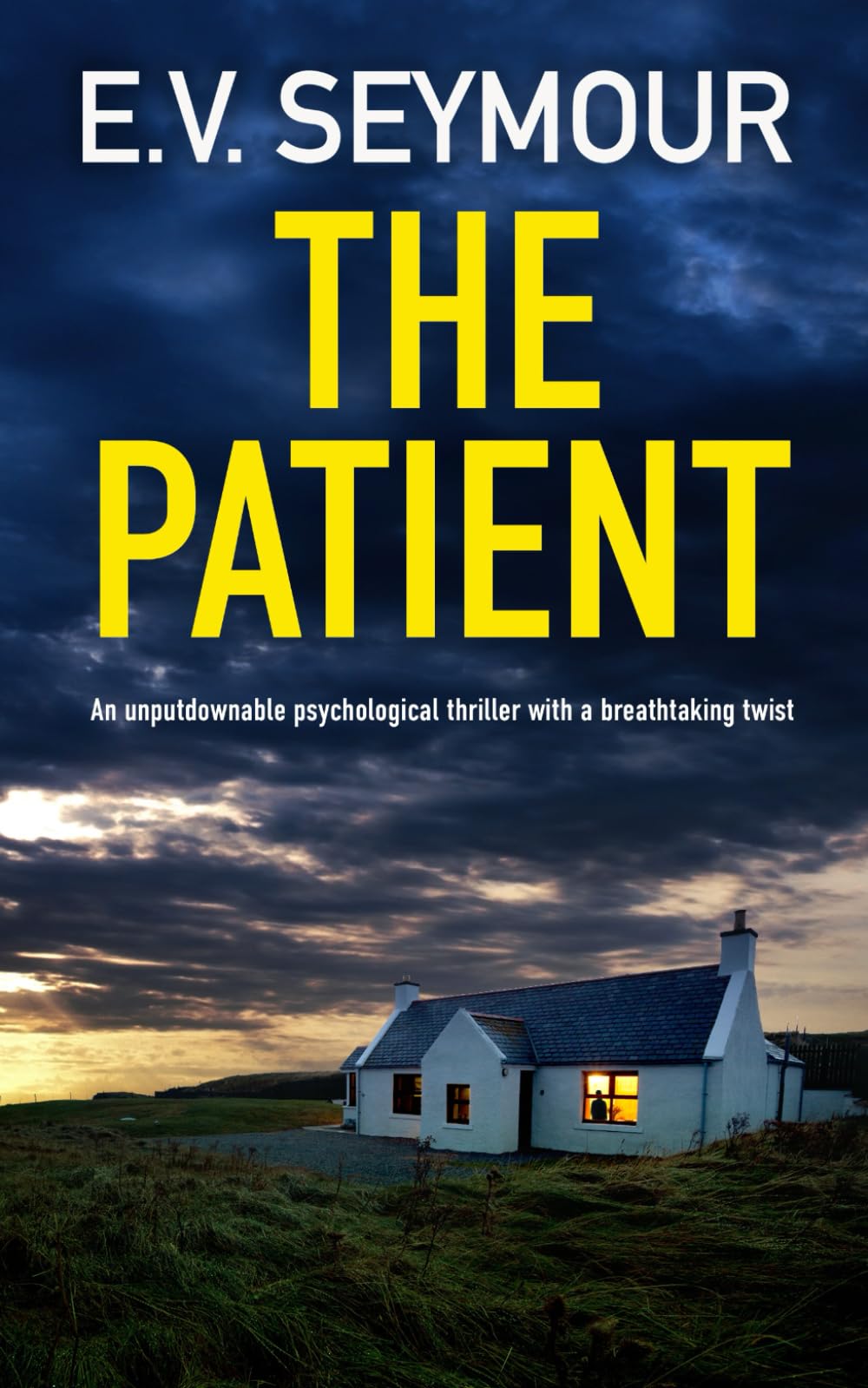 THE PATIENT an unputdownable psychological thriller with a breathtaking twist (Kim Slade Thrillers, Band 1) Contemporary literature