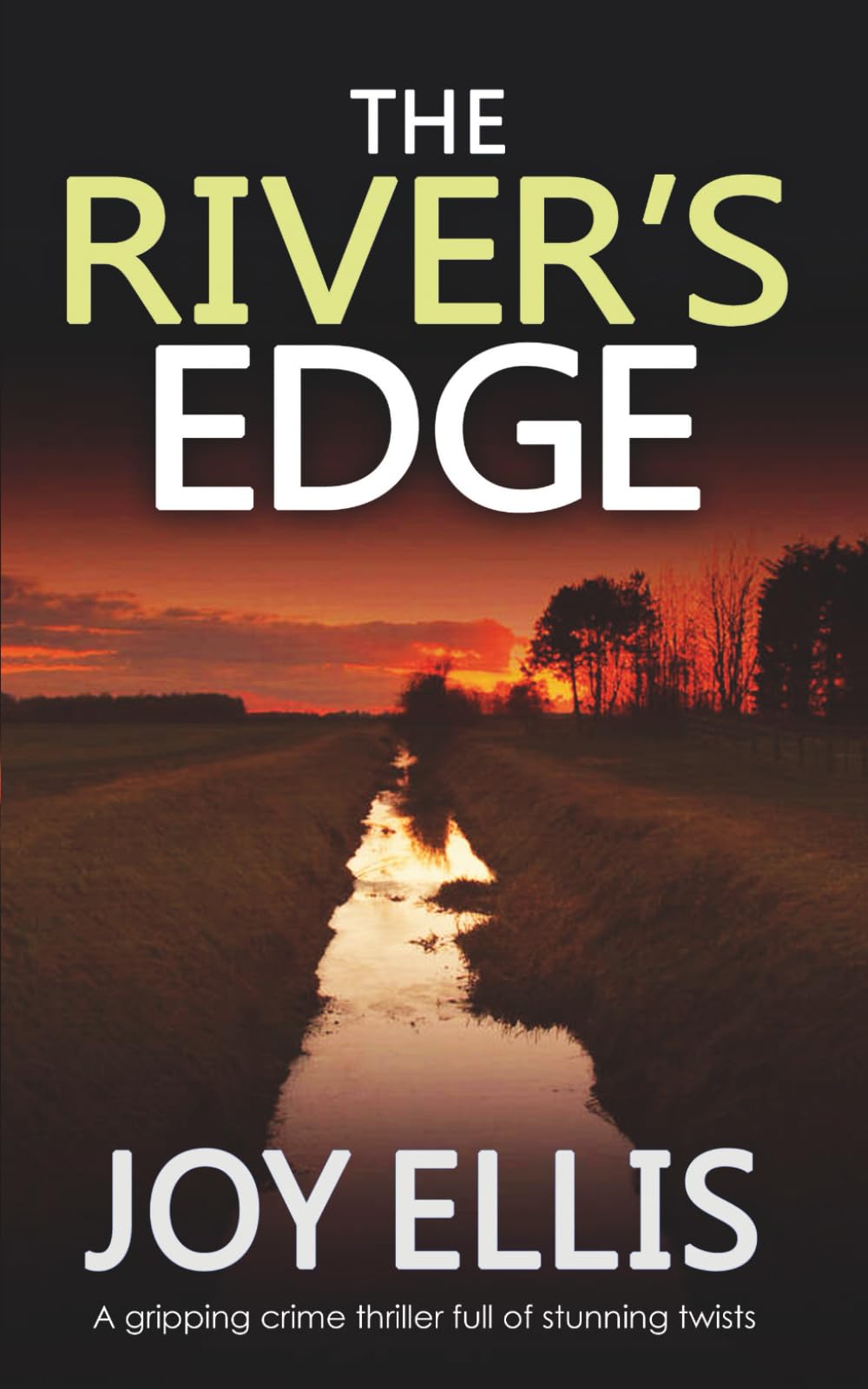 THE RIVER'S EDGE a gripping crime thriller full of twists (Jackman and Evans detective mysteries, Band 10) Detective & CSI