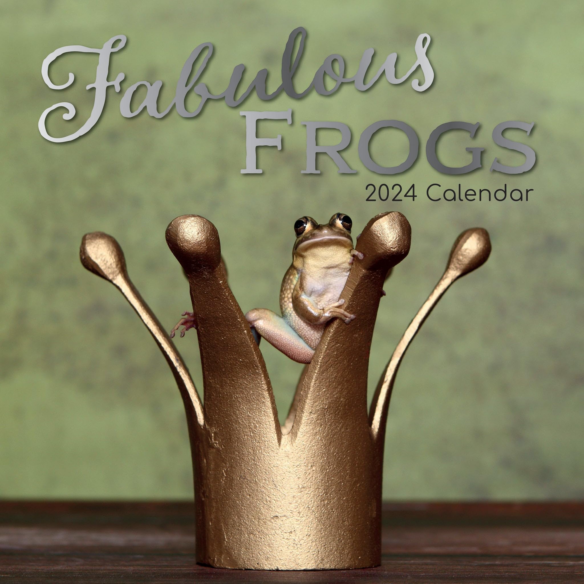 Fabulous Frogs – Fabelhafte Frösche 2024 – 16-Monatskalender: Original Gifted Stationery-Kalender (Wall-Kalender) Leisure, Home & Garden