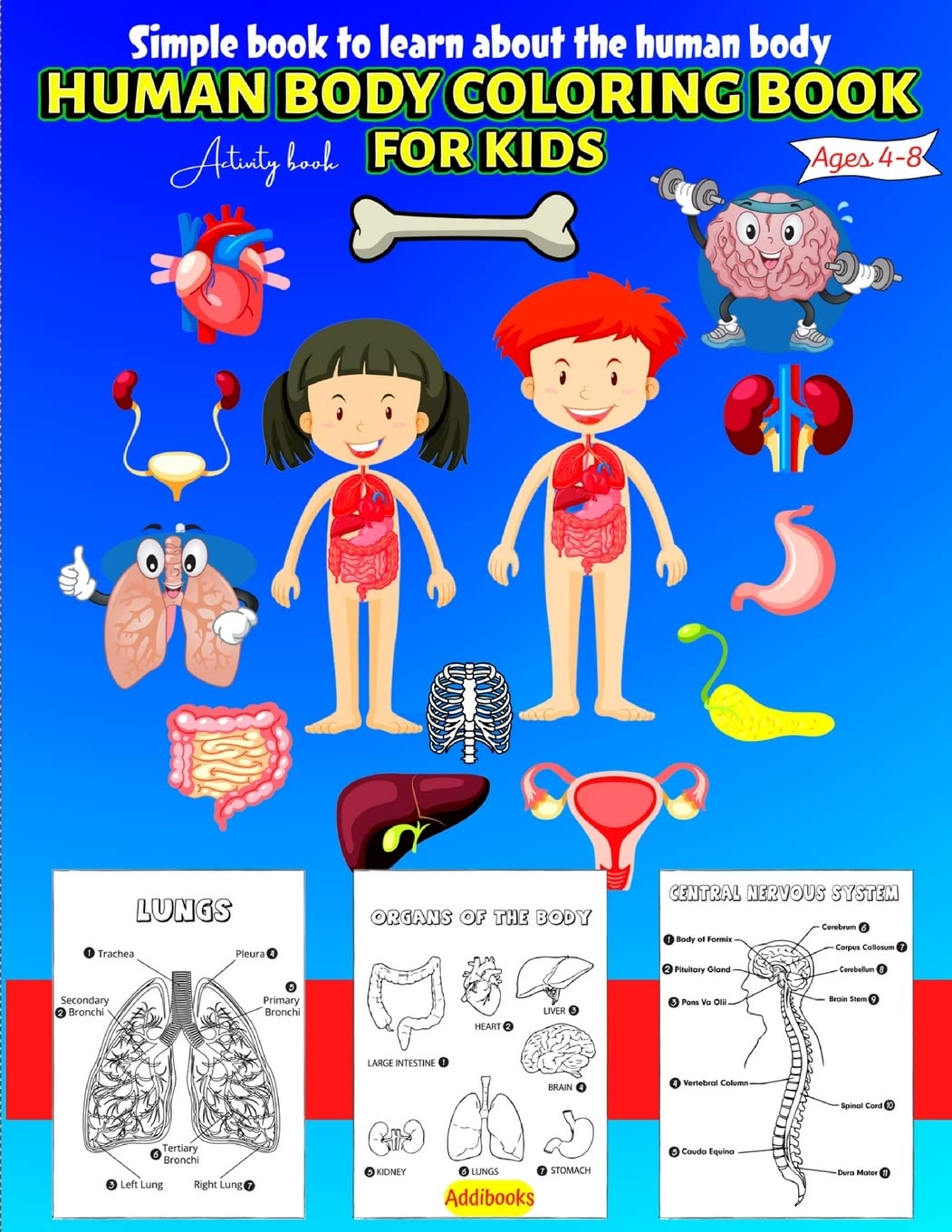 Human Body coloring & Activity Book for Kids| Simple Book to Learn About the Human Body Non-fiction