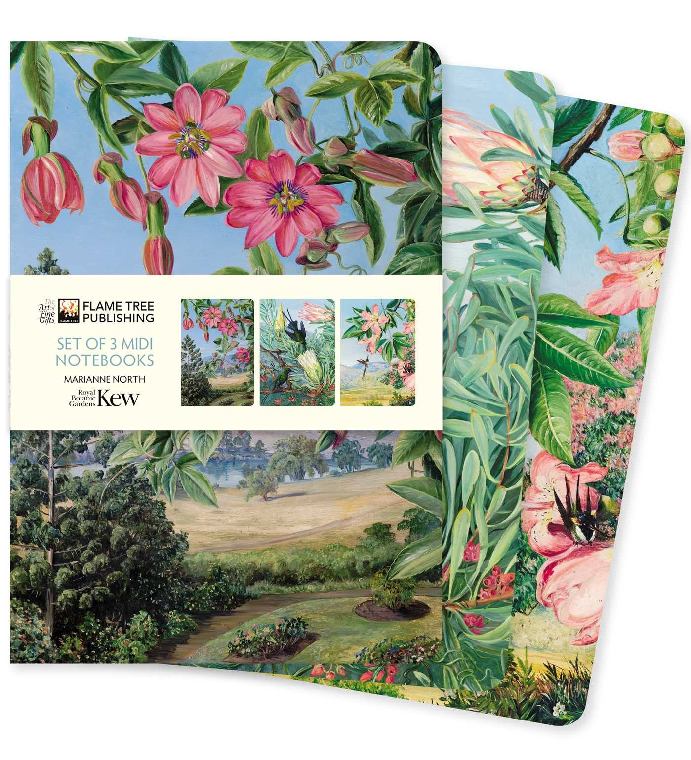 Kew Gardens: Marianne North Set of 3 MIDI Notebooks Media & Communication