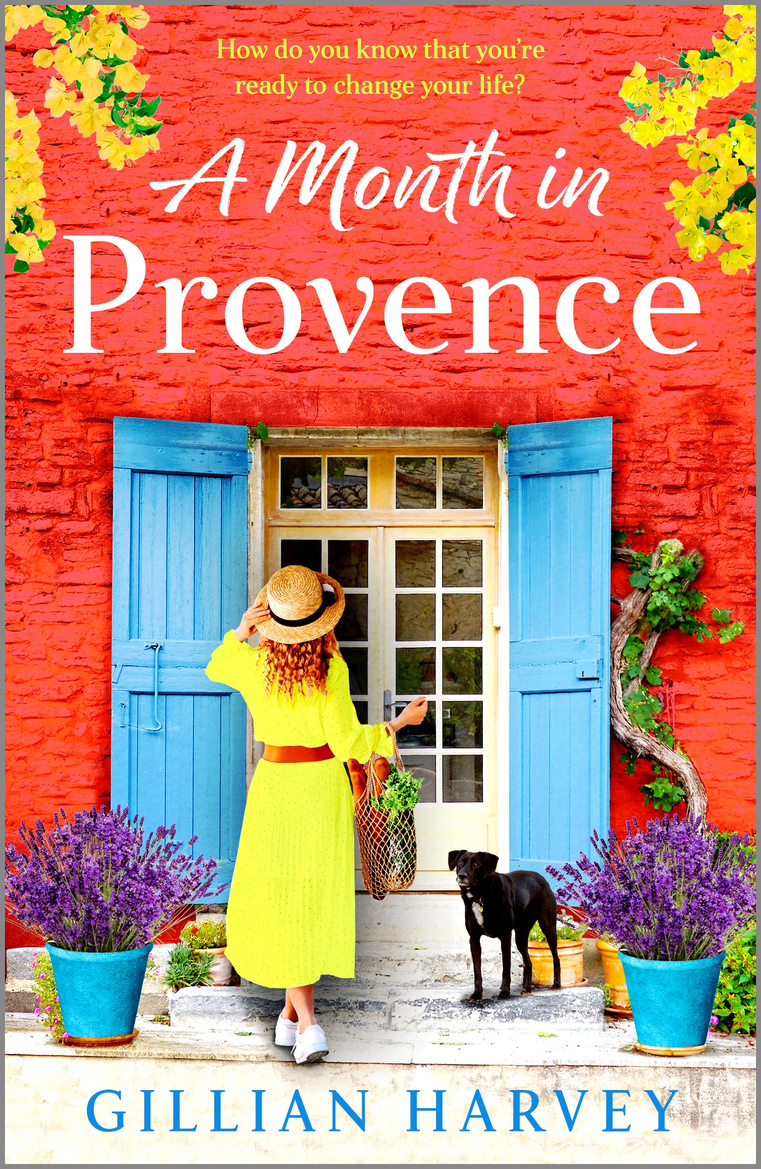 A Month in Provence: An escapist feel-good romance from Gillian Harvey Holiday Reading