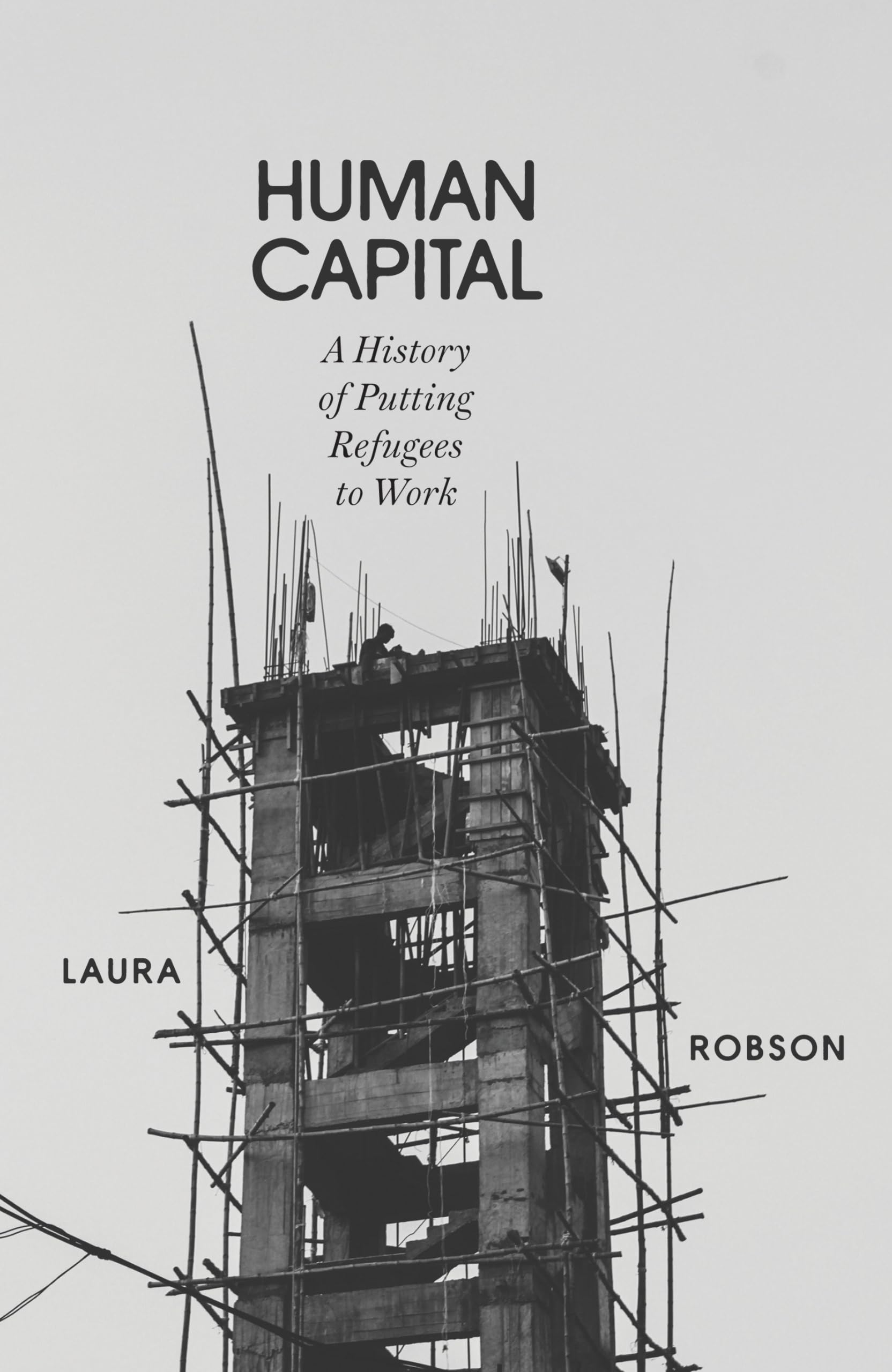 Human Capital: A History of Putting Refugees to Work Books