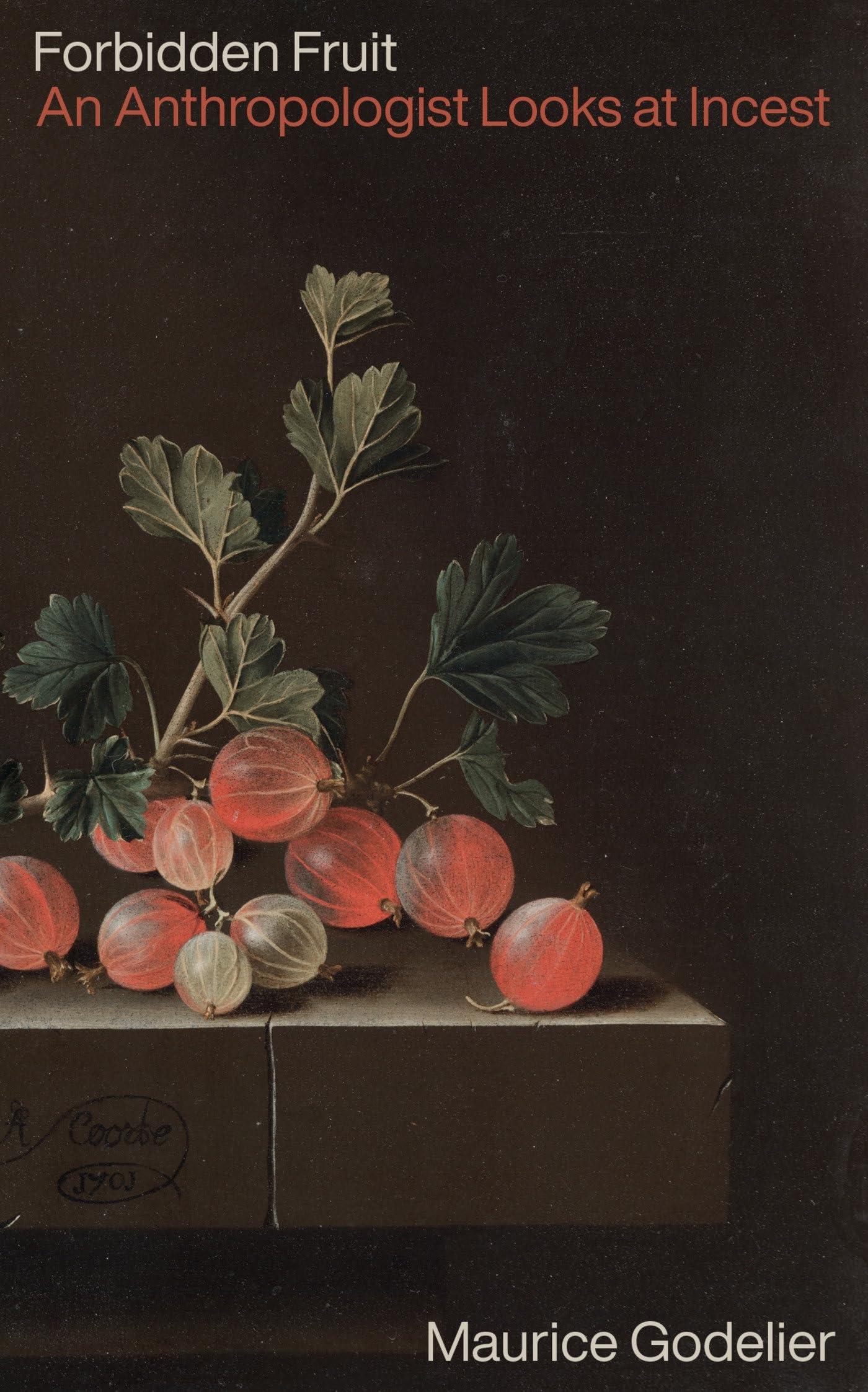 Forbidden Fruit: An Anthropologist Looks at Incest book