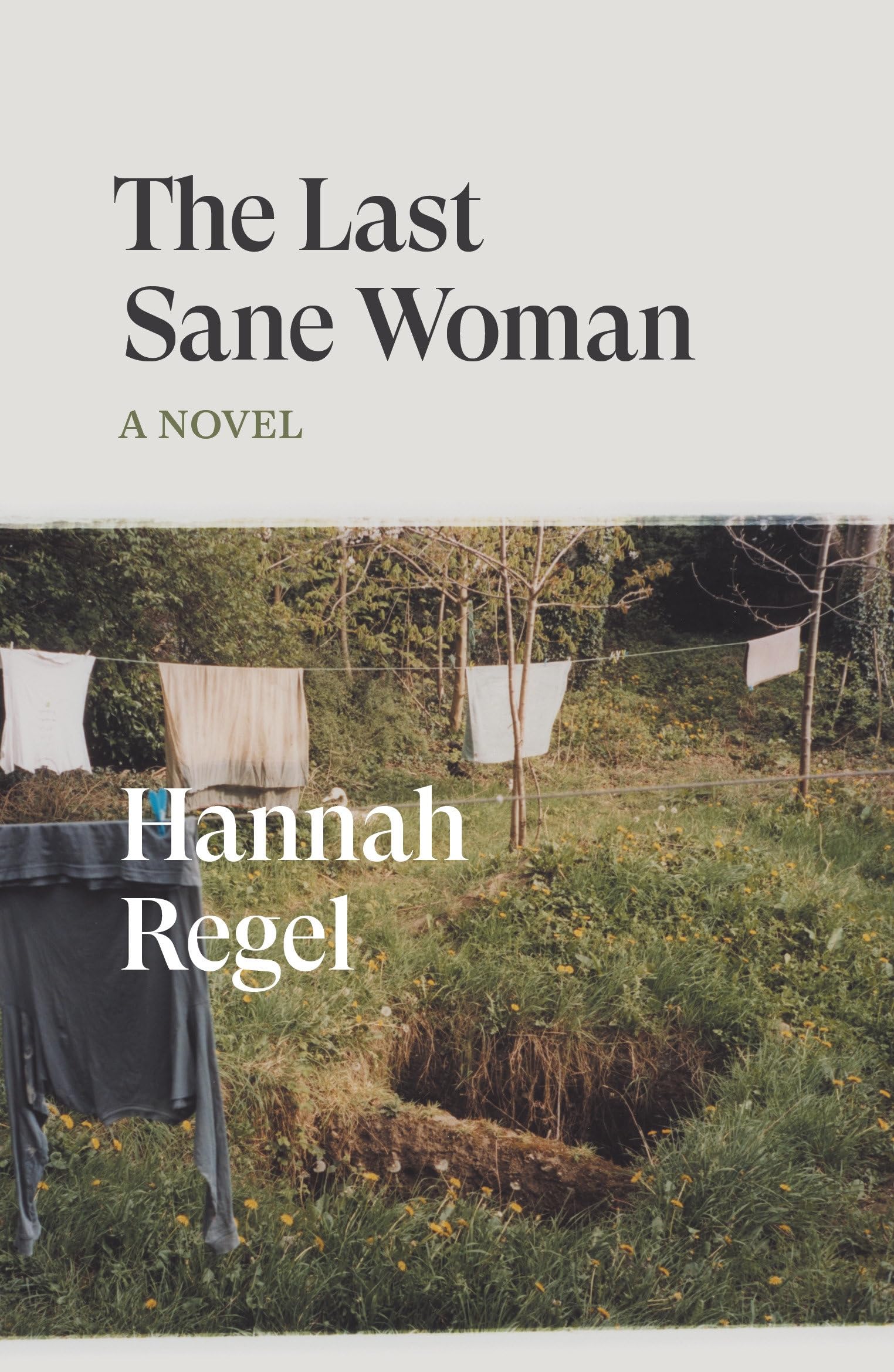 The Last Sane Woman: A Novel (Verso Fiction) Contemporary literature