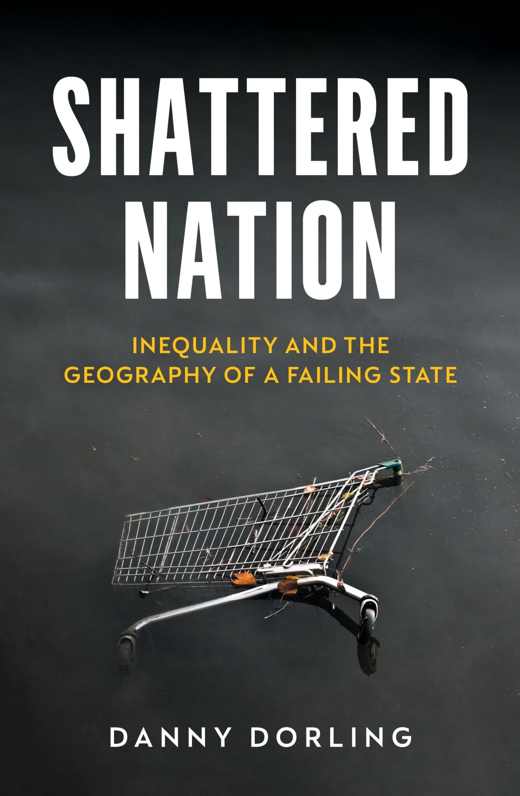 Shattered Nation: Inequality and the Geography of a Failing State book