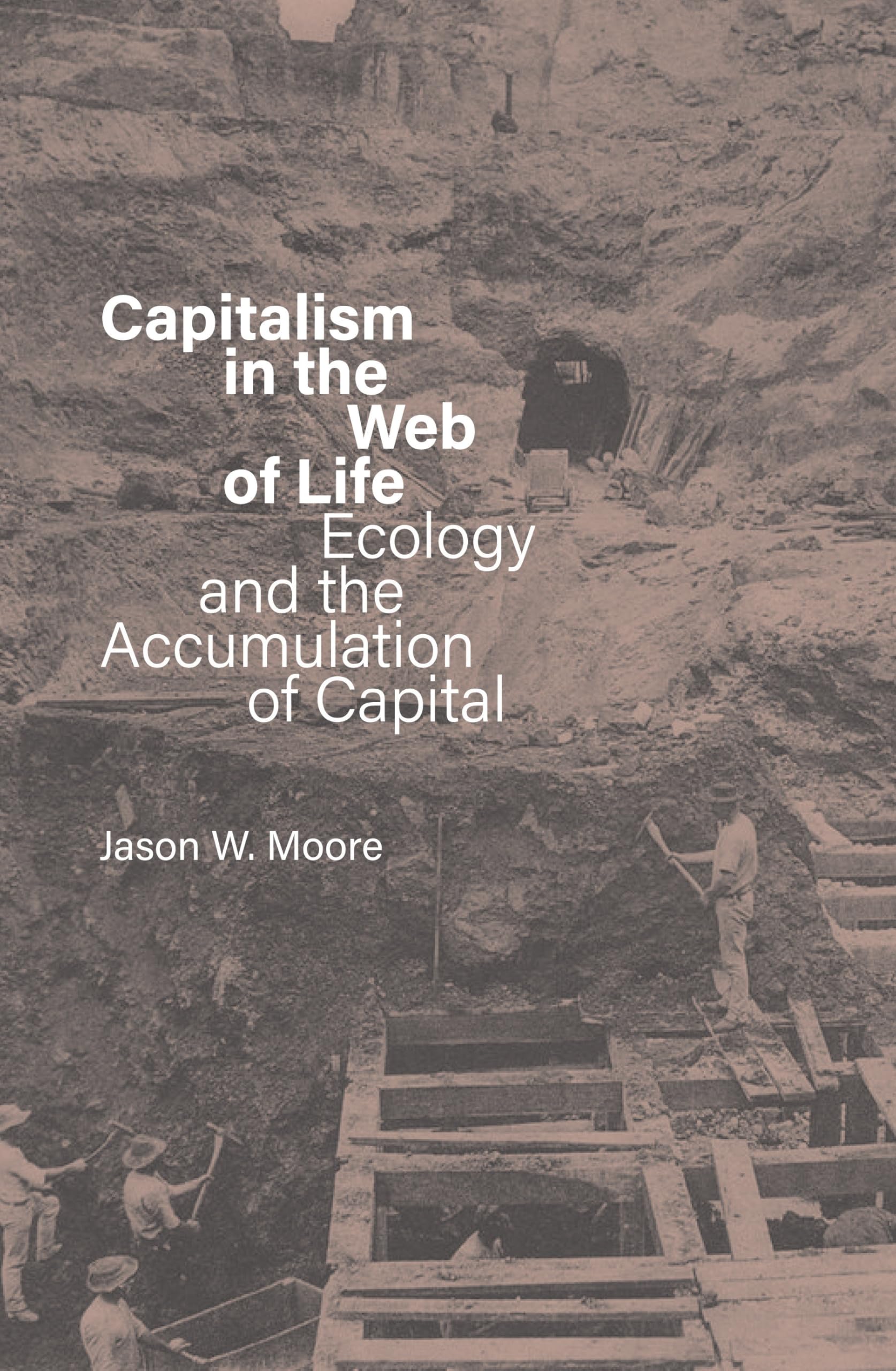 Capitalism in the Web of Life Business, Finance & Career