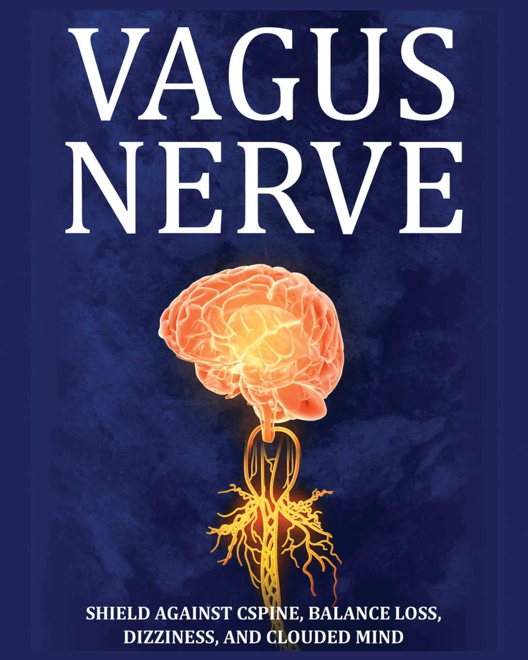 Vagus Nerve: Tips for your C Spine, Balance Loss, Dizziness, and Clouded Mind. Learn Self-Help Exercises, How to Stimulate and Activate Your Vagus Nerve Through Meditation and the Polyvagal Theory book