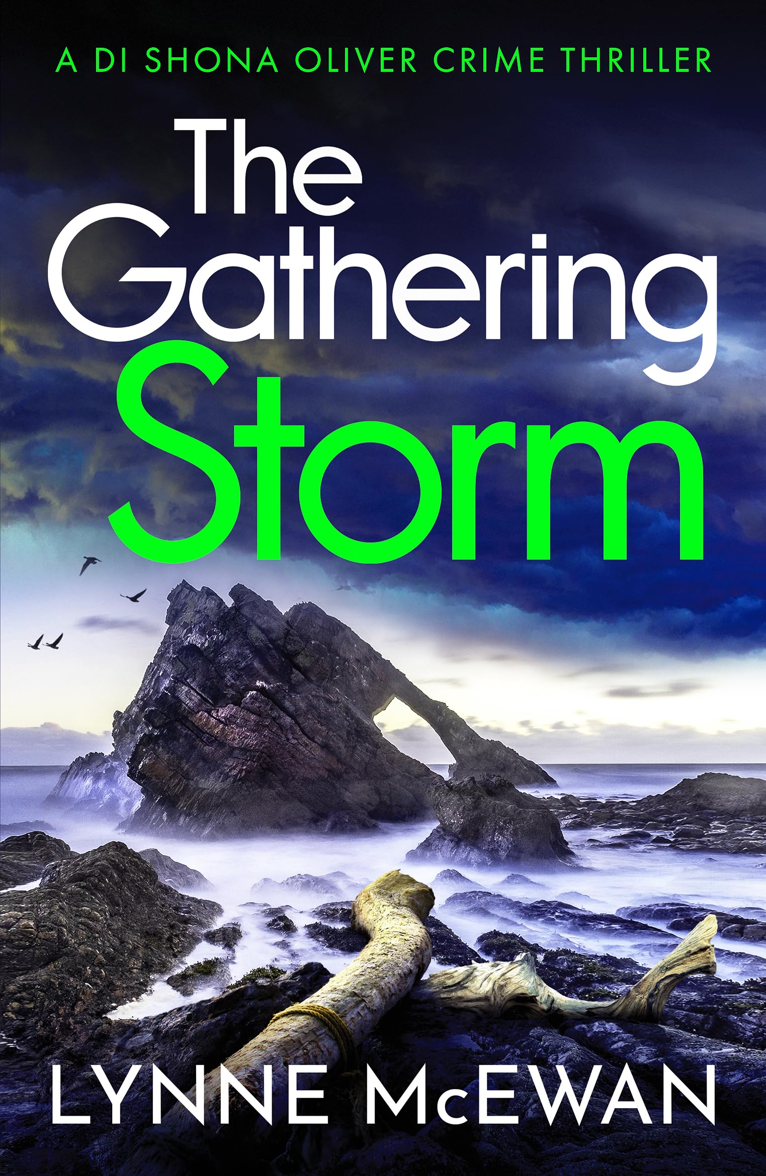 The Gathering Storm: An atmospheric, gripping Scottish police procedural (Detective Shona Oliver, 4) Contemporary literature