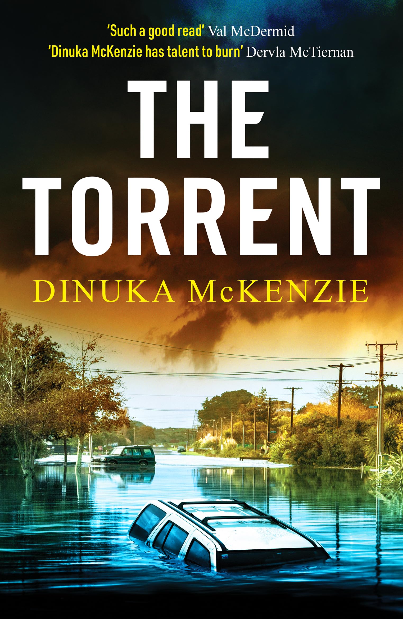 The Torrent: An unputdownable Australian crime thriller (Detective Kate Miles, 1) Contemporary literature