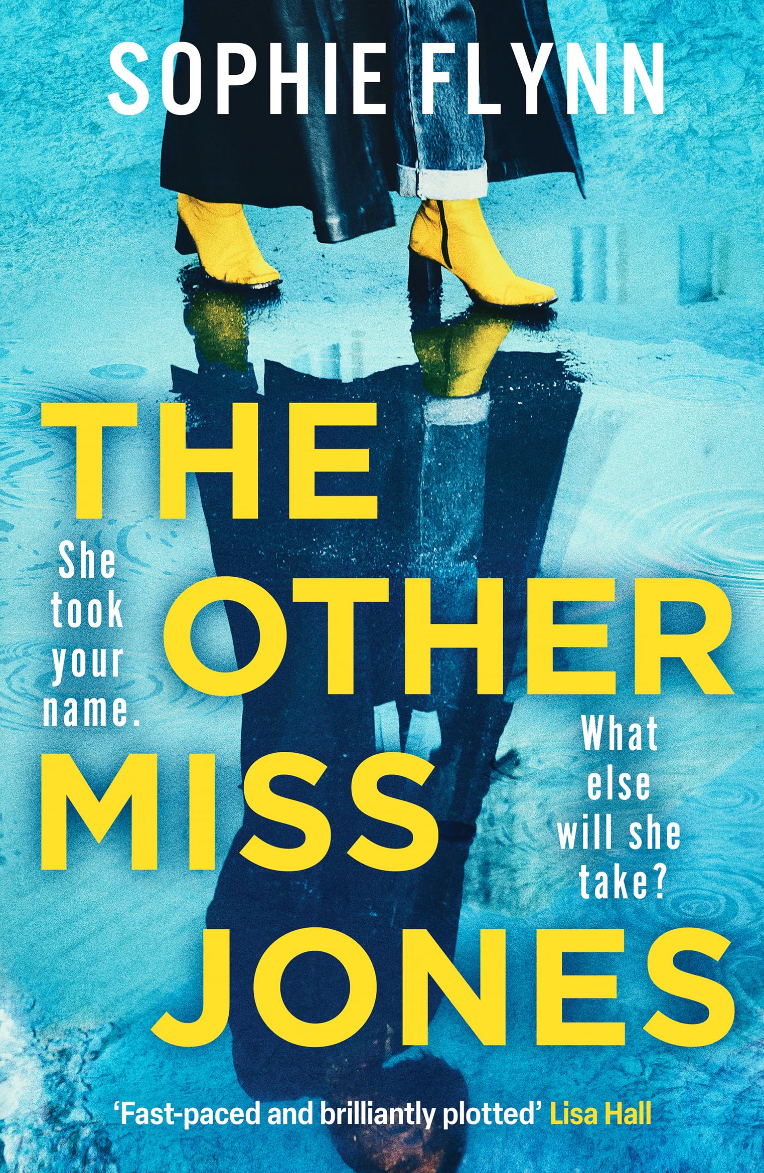 The Other Miss Jones Contemporary literature