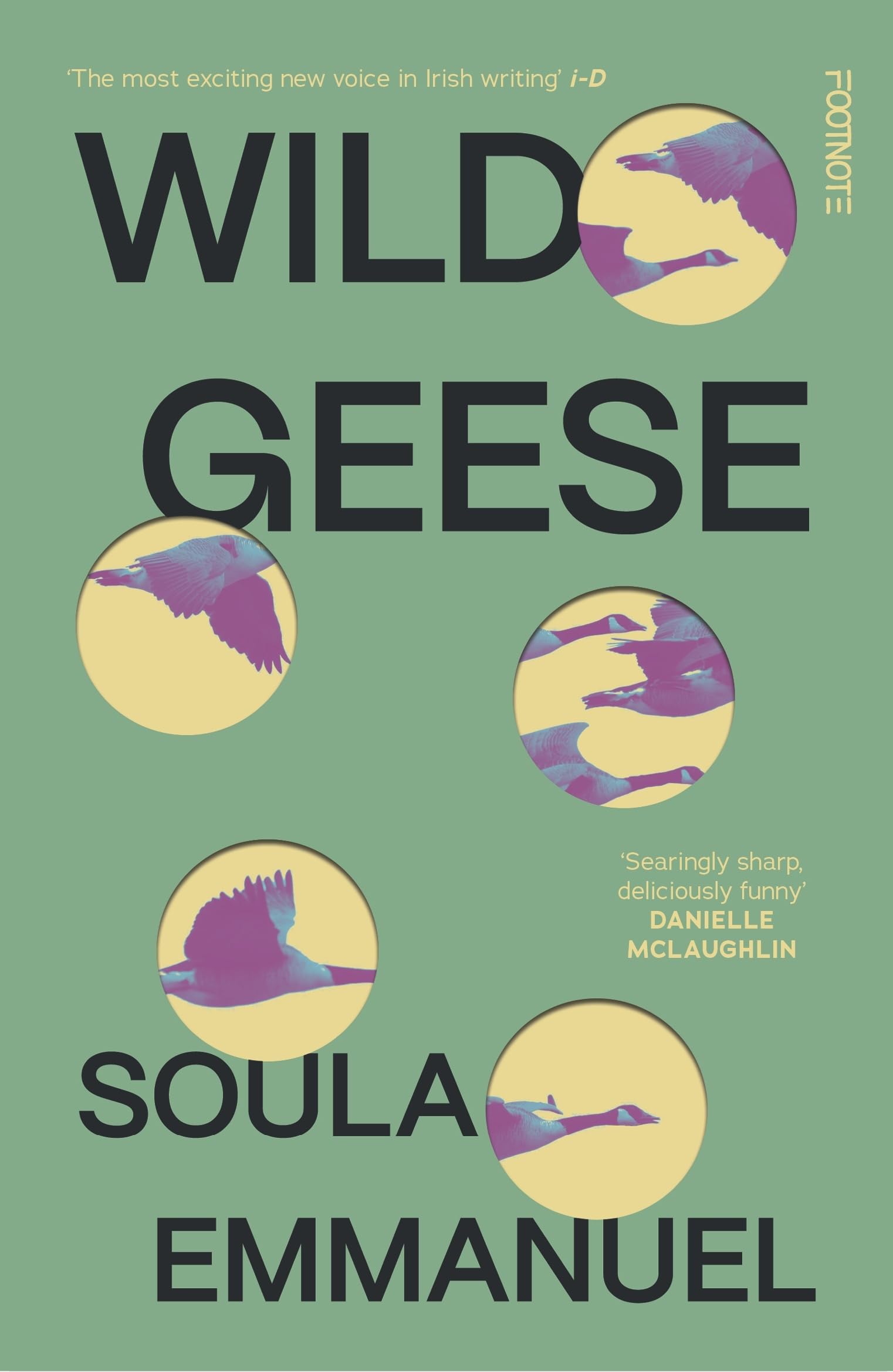 Wild Geese: the LAMBDA and GORDON BOWKER VOLCANO PRIZE winner LGBTQ+