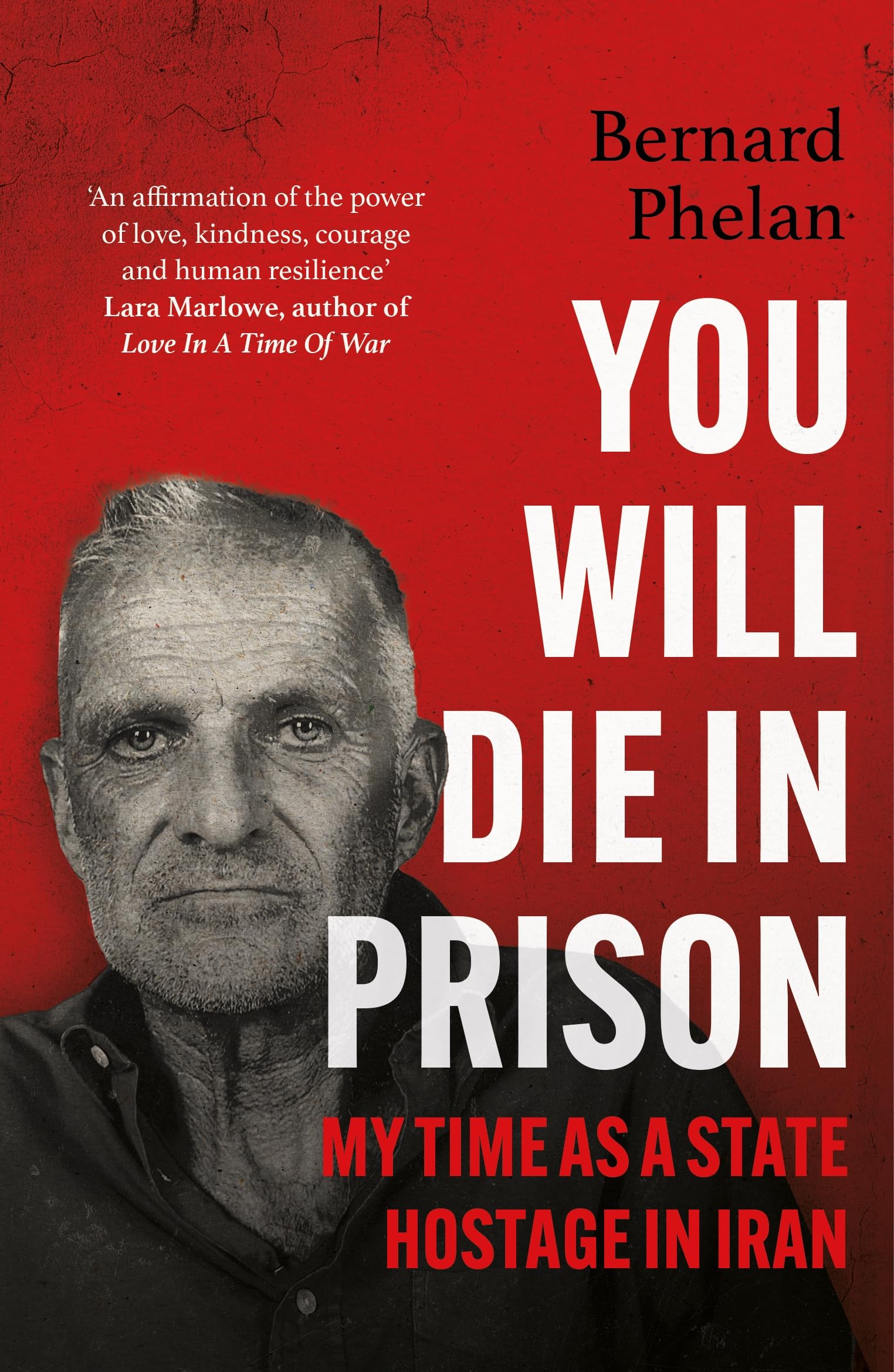 You Will Die in Prison: A story of 'ferocious resilience' - Irish Examiner book