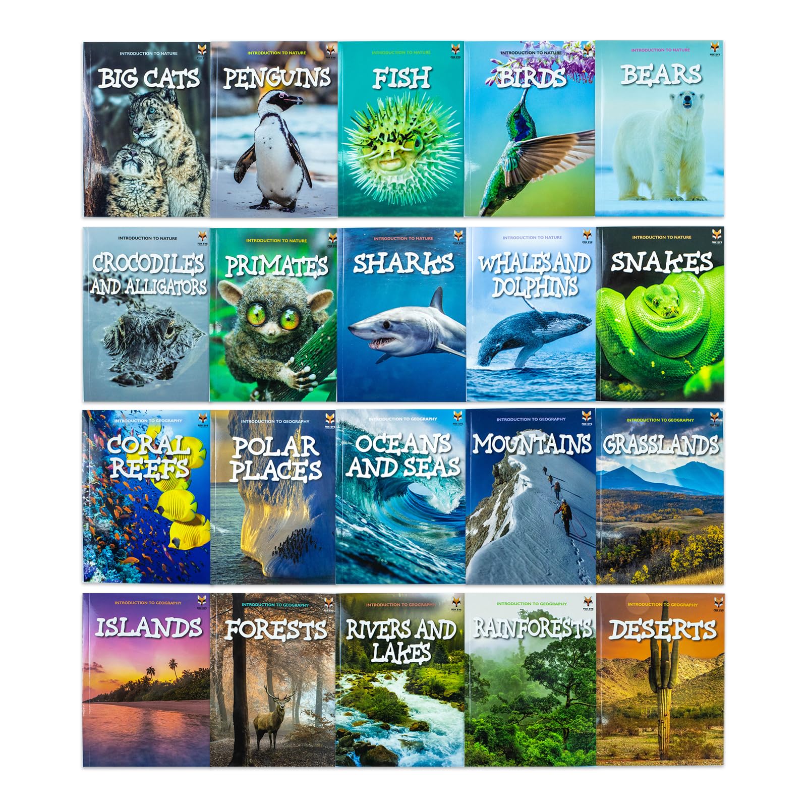 Children Introduction to Nature and Geography 20 Book Collection Set: (Bears, Big Cats,Crocodiles and Alligators,Coral Reefs,Deserts,Grasslands) Non-fiction