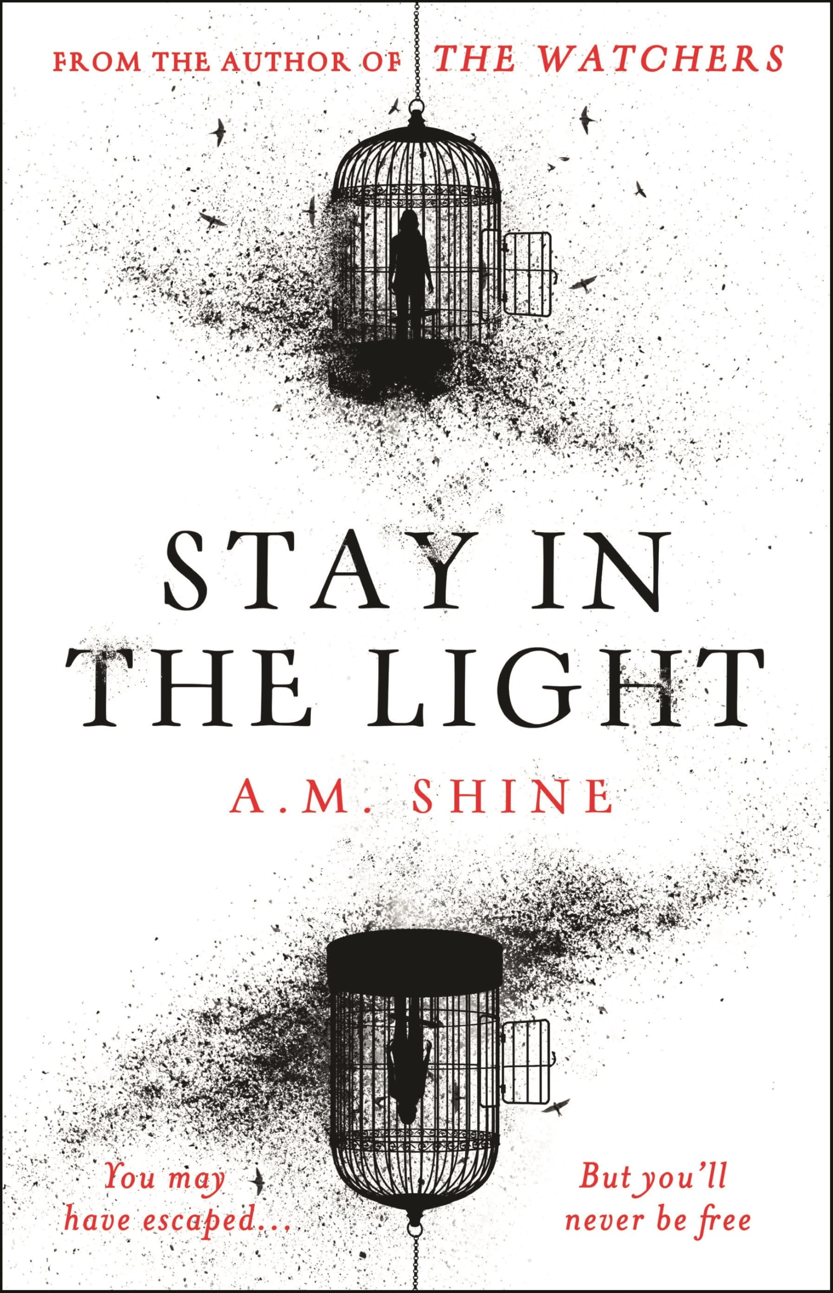 Stay in the Light: the chilling sequel to hit horror novel THE WATCHERS Horror & Mystery