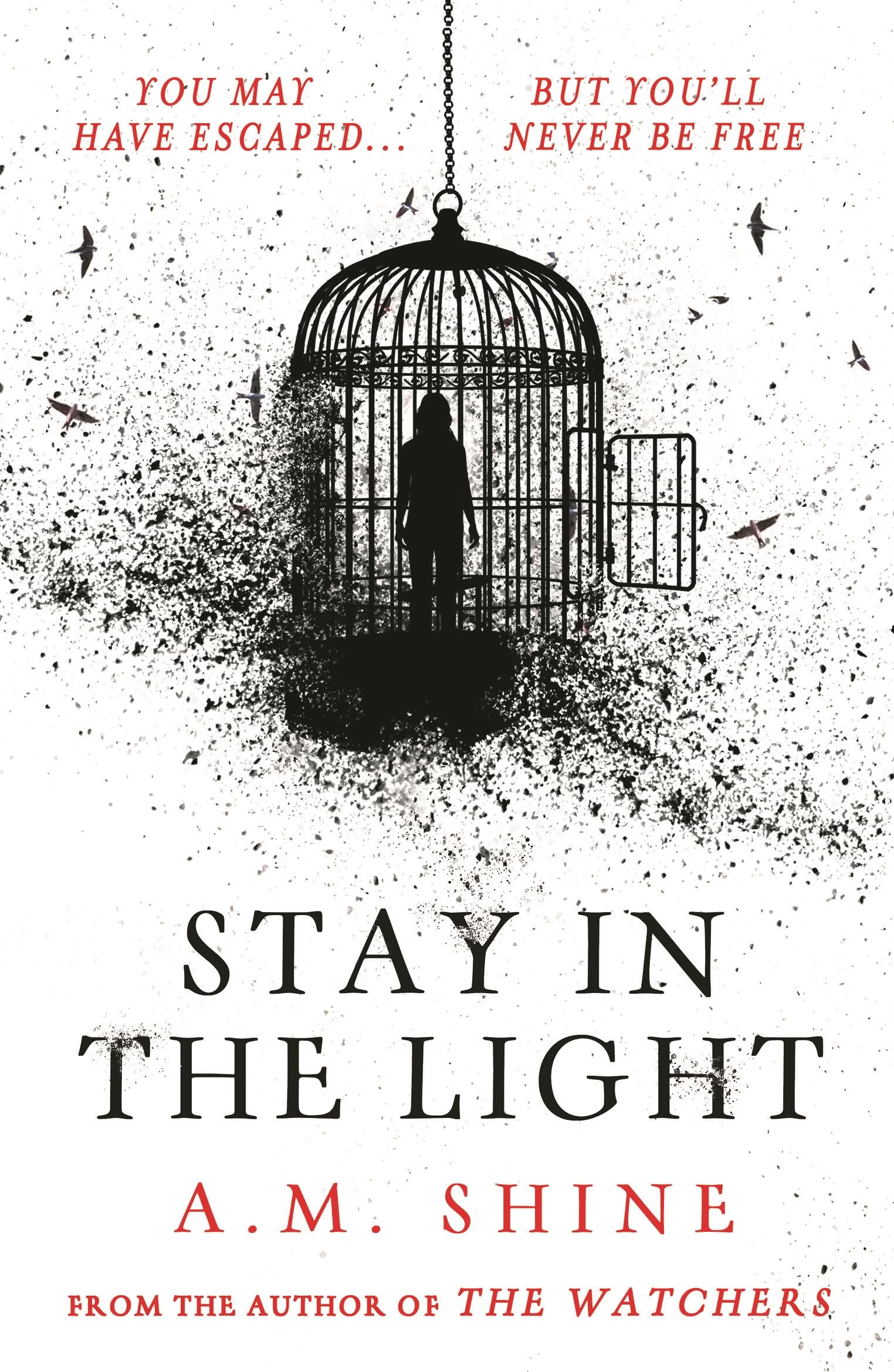 Stay in the Light: the chilling sequel to hit horror novel THE WATCHERS Horror & Mystery