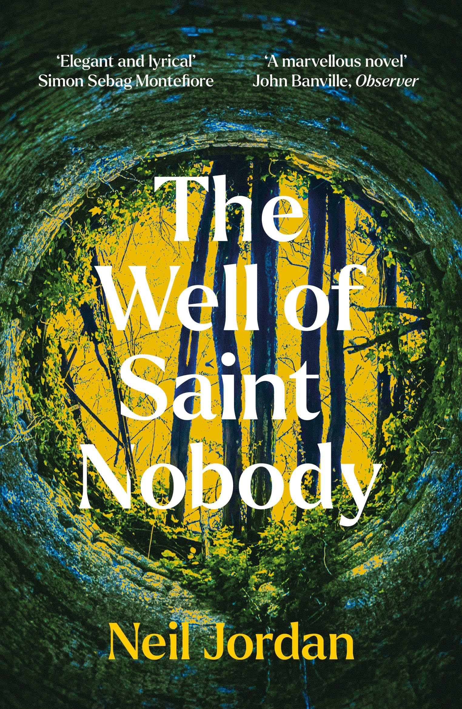 The Well of Saint Nobody book