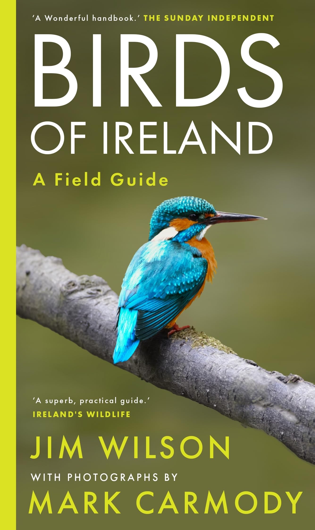 Birds of Ireland Mathematics