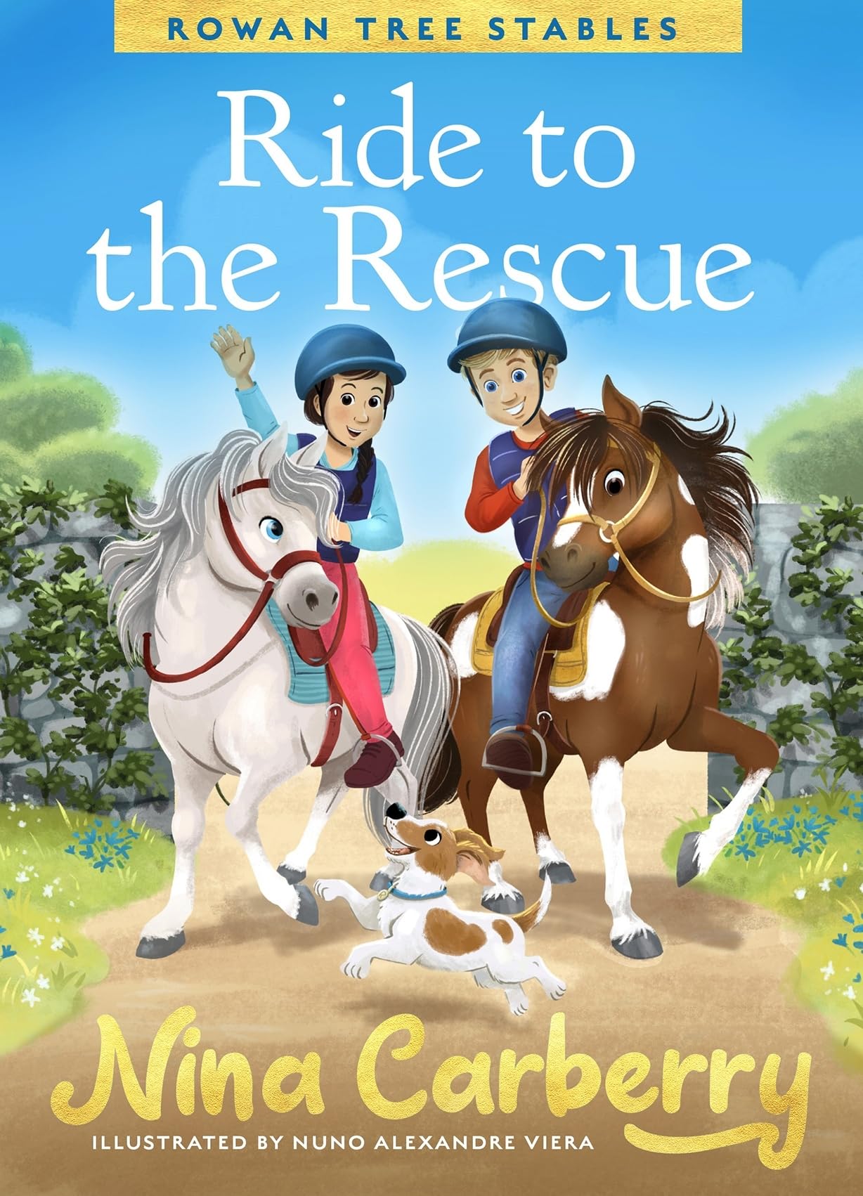 Rowan Tree Stables Ride to the Rescue book