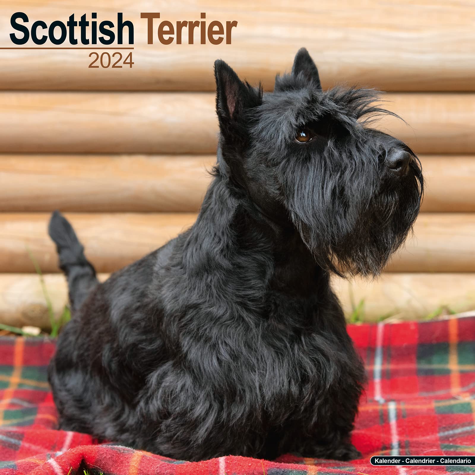 Scottish Terrier - Scottish Terrier 2024- 16-Monatskalender: Original Avonside-Kalender (Wall-Kalender) Pets