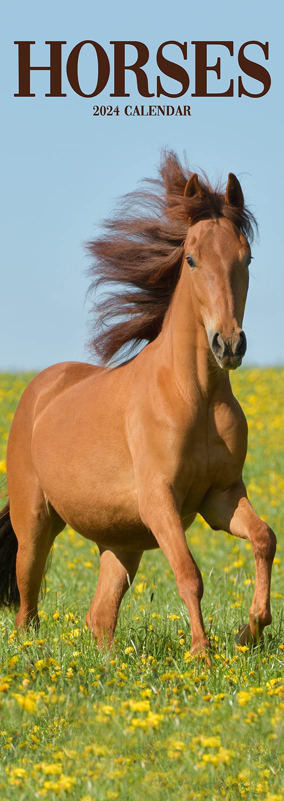Horses Slim Calendar 2024 Horses Slimline Calendar - 12 Month book