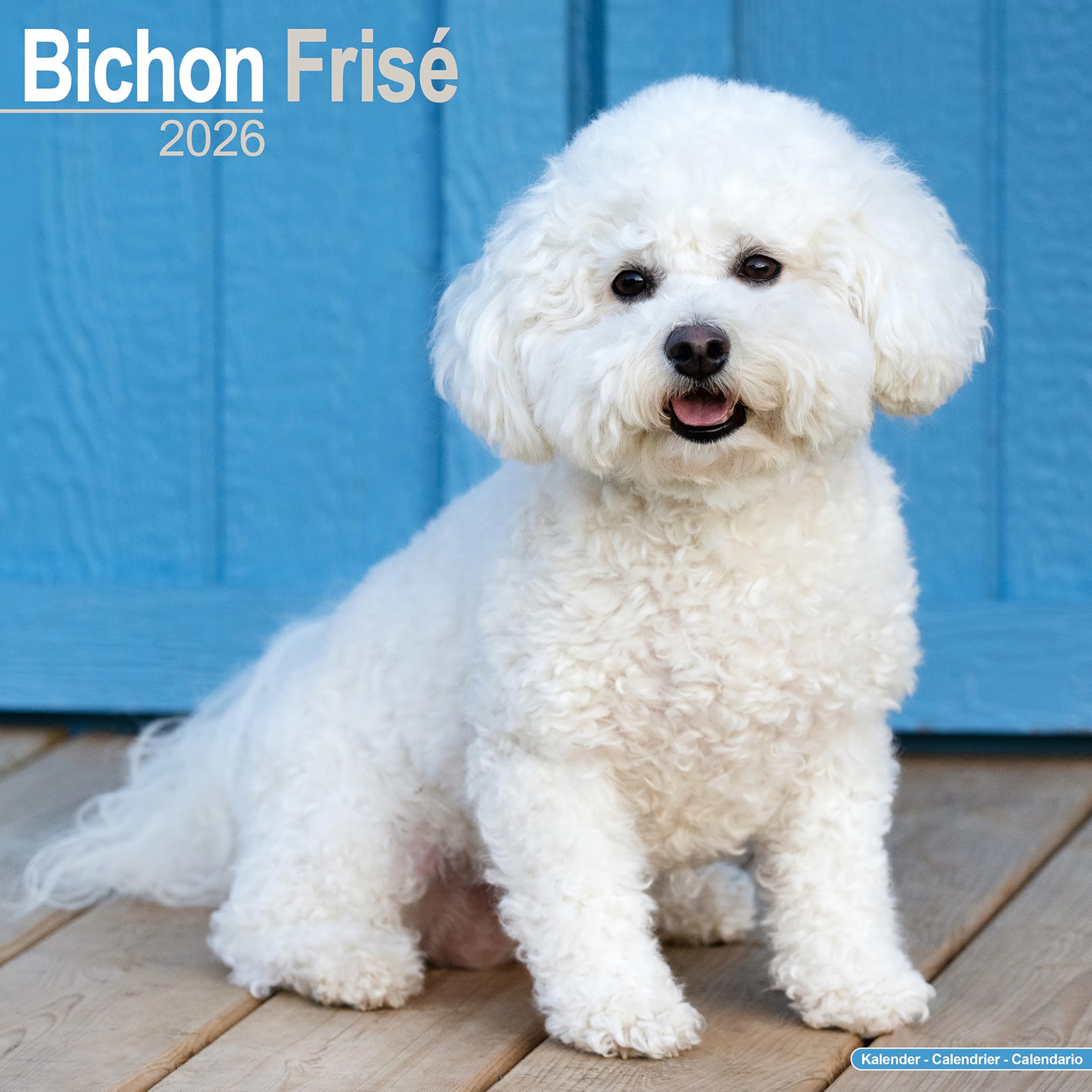 Bichon Frise Calendar 2026 Square Dog Breed Wall Calendar - 16 Month Books