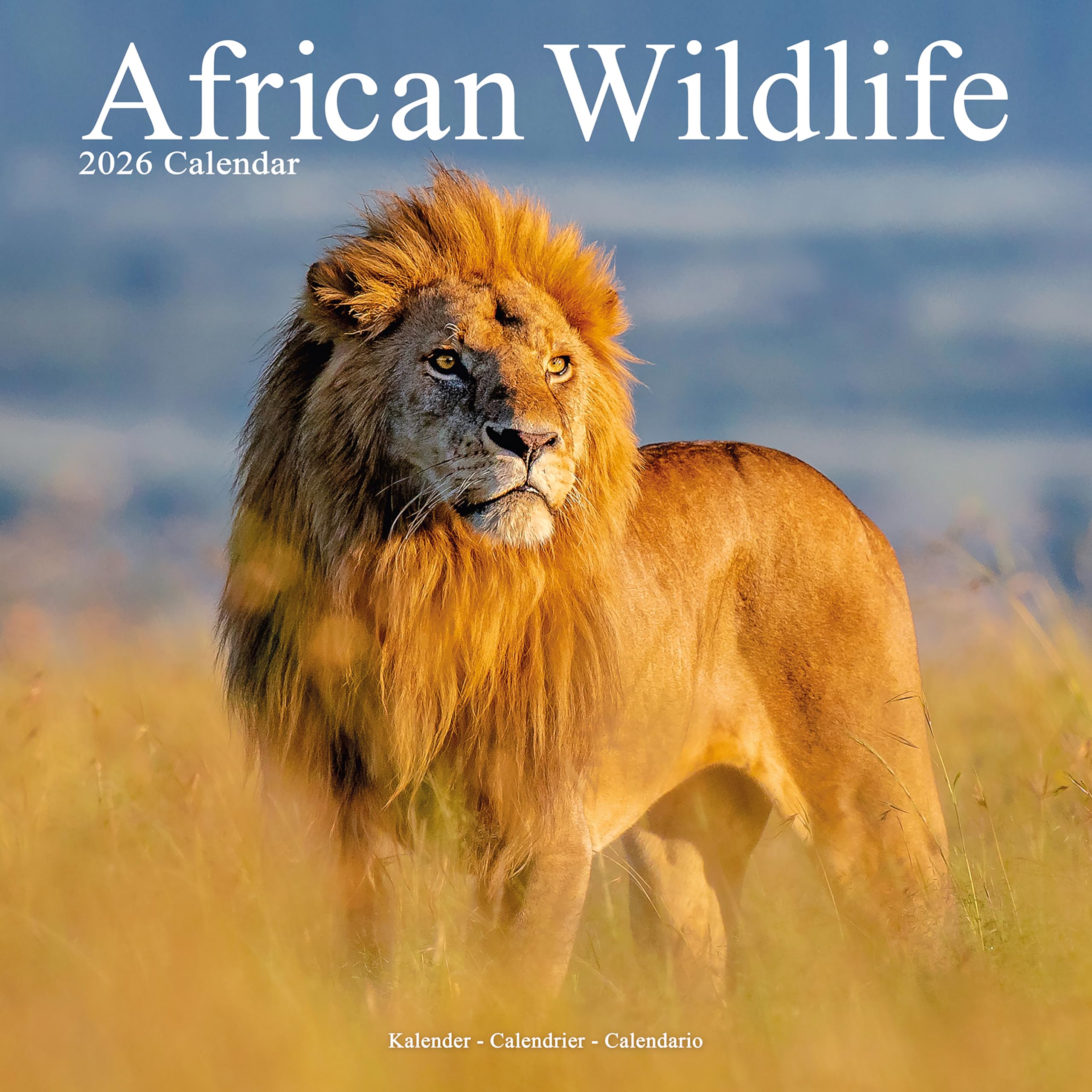 African Wildlife Calendar 2026 Square Wildlife Safari Wall Calendar - 16 Month Calendars