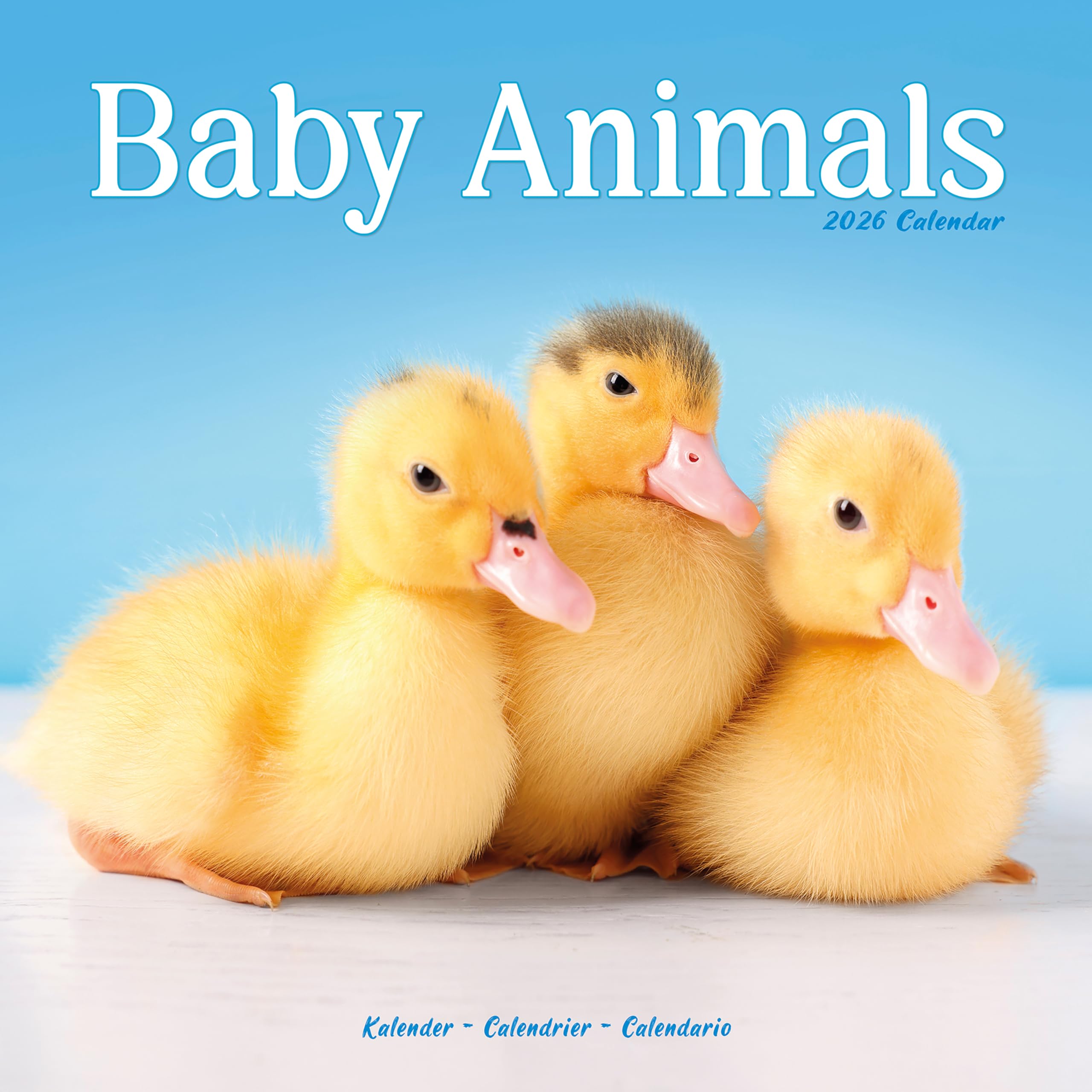 Baby Animals Calendar 2026 Square Animal Wall Calendar - 16 Month Books