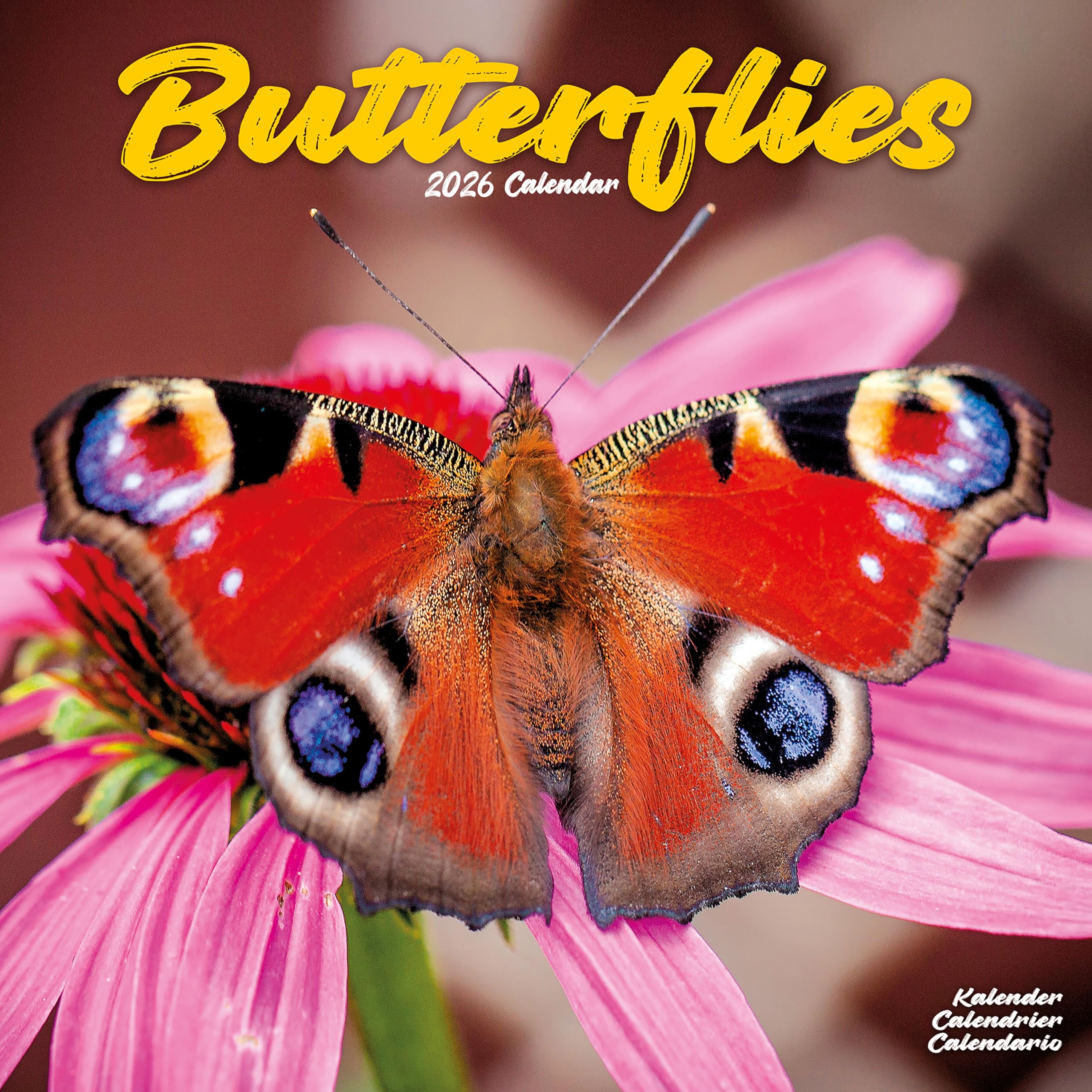 Butterflies Calendar 2026 Square Butterfly Wall Calendar - 16 Month Books