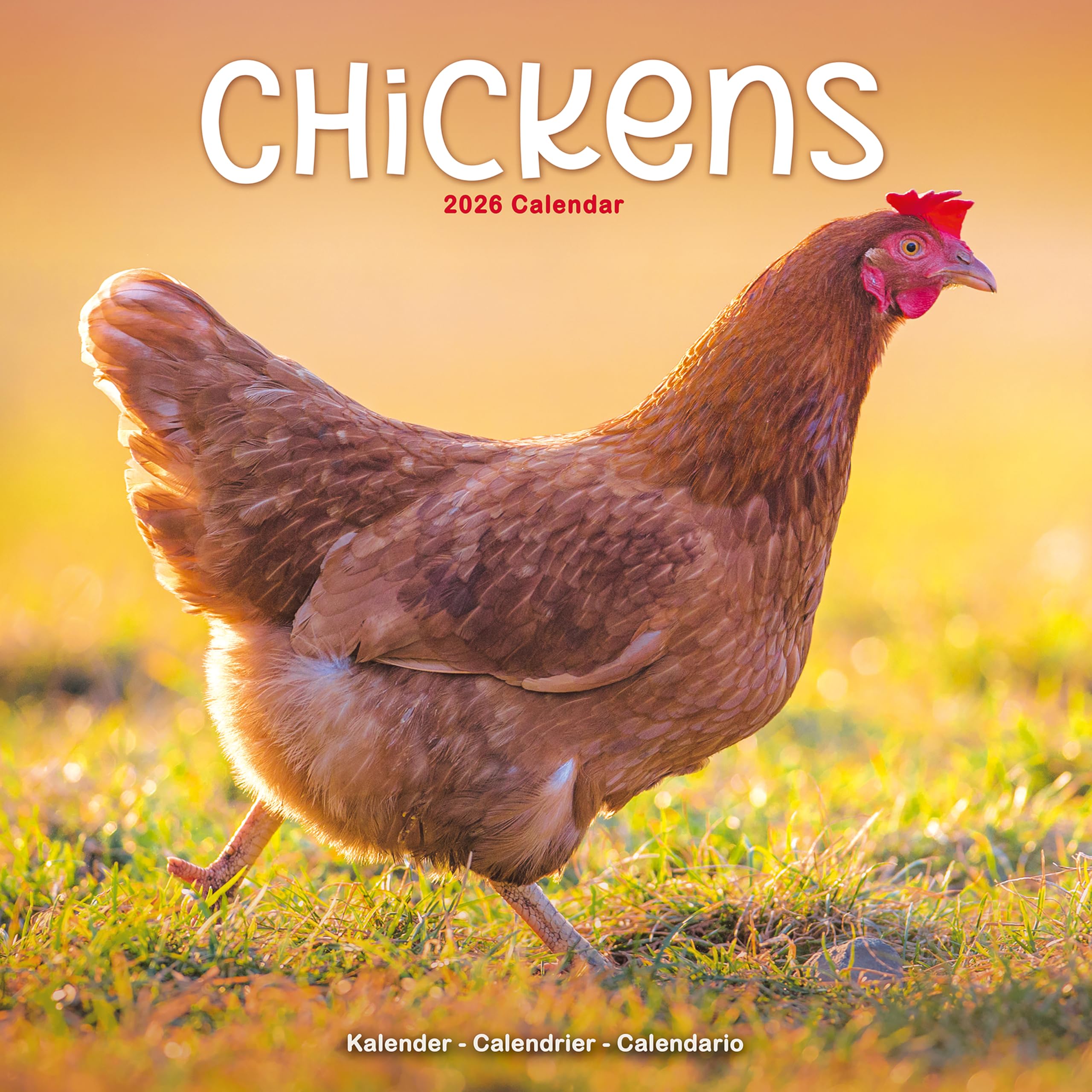 Chickens Calendar 2026 Square Farm Animals & Birds Wall Calendar - 16 Month Books