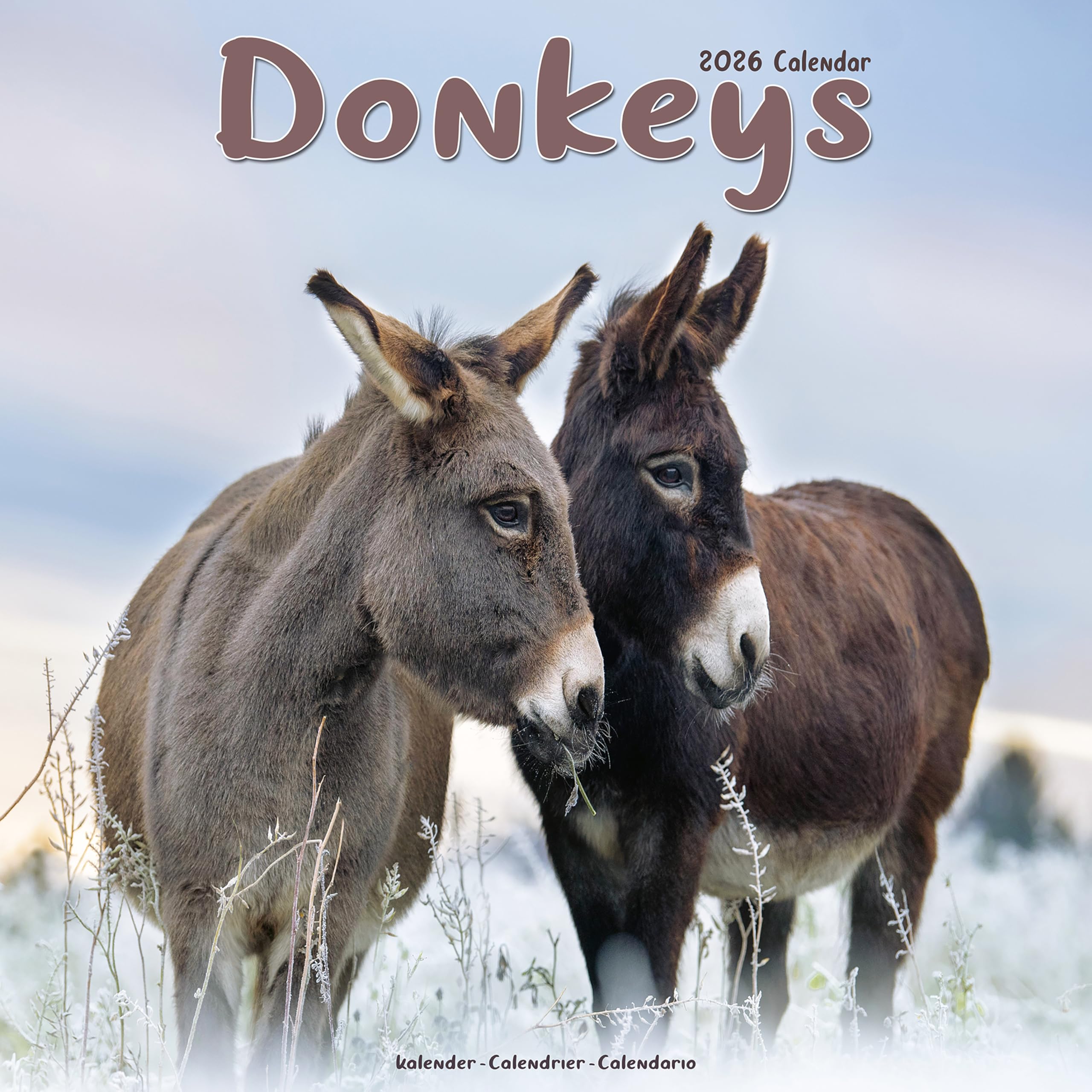 Donkeys Calendar 2026 Square Animal Wall Calendar - 16 Month Books