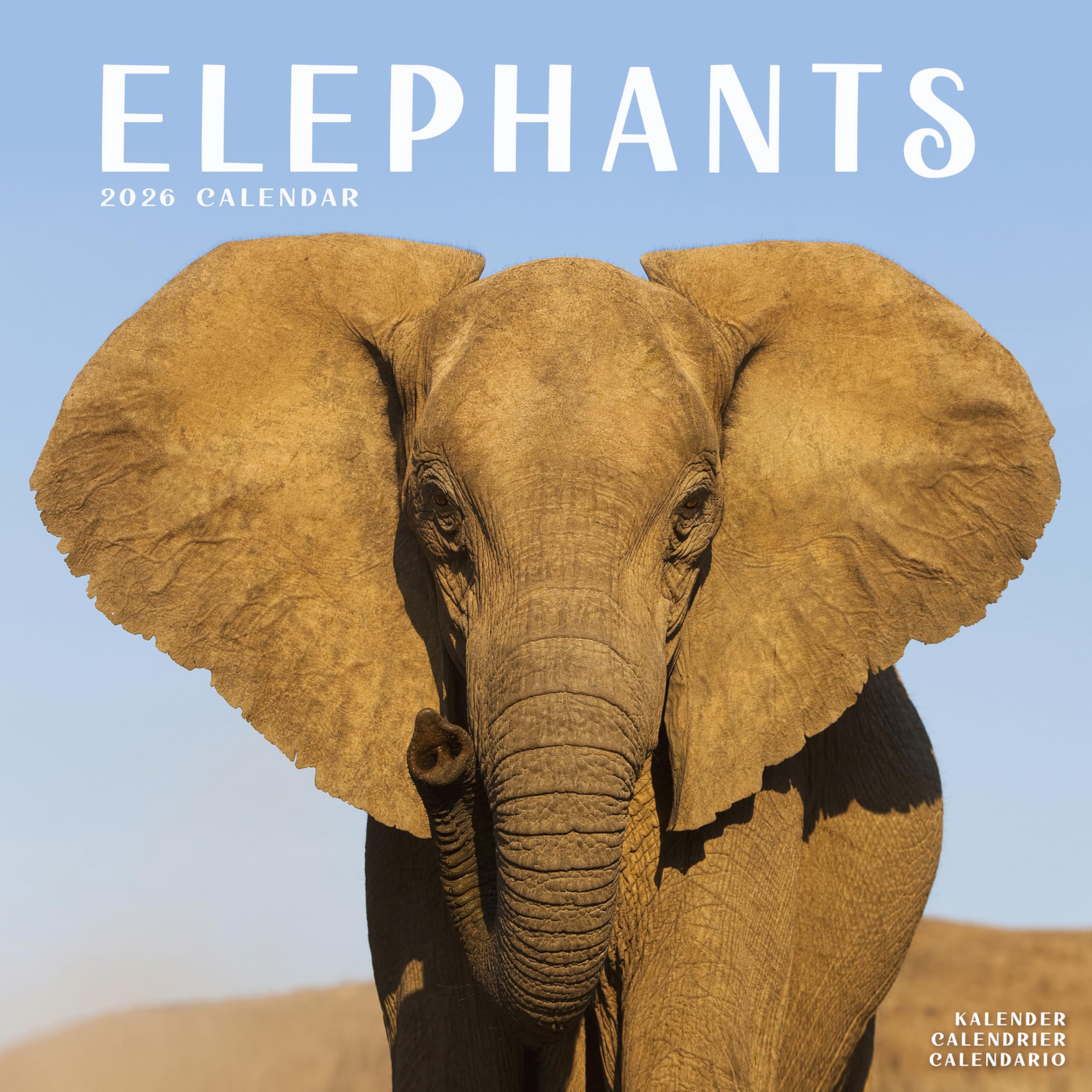 Elephants Calendar 2026 Square Wildlife Safari Wall Calendar - 16 Month Calendars