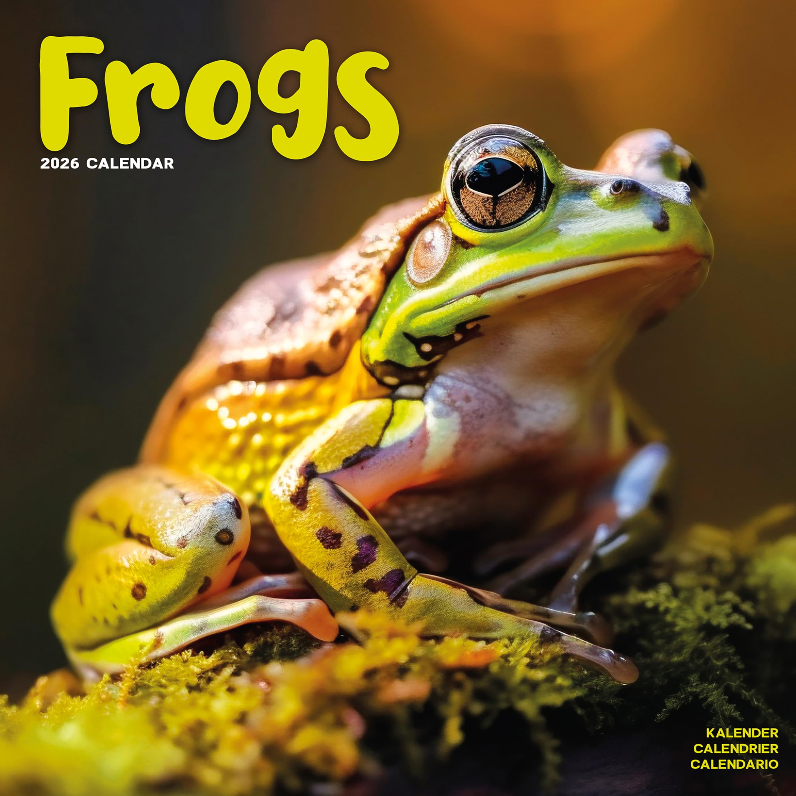 Frogs Calendar 2026 Square Animal Wall Calendar - 16 Month Books