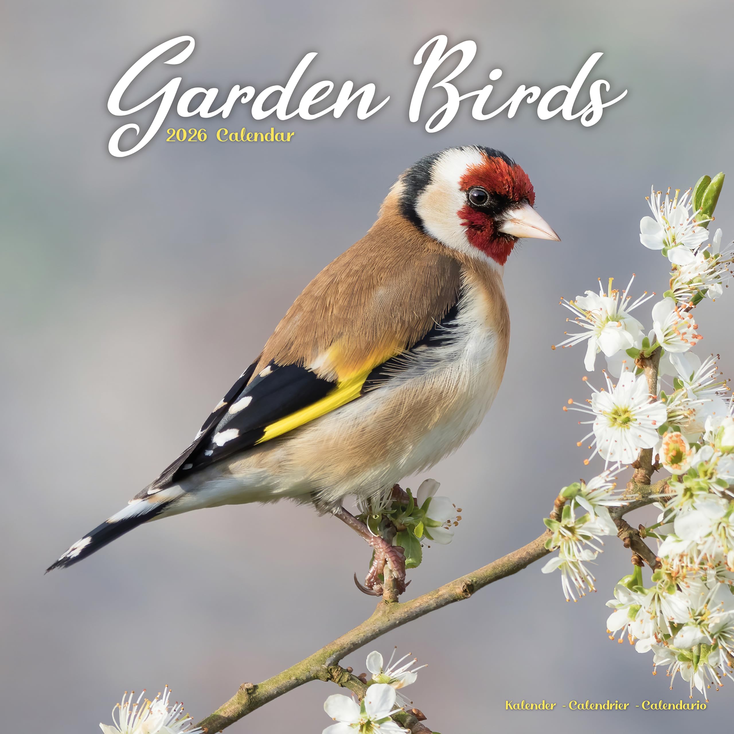 Garden Birds Calendar 2026 Square Birds Wall Calendar - 16 Month Books