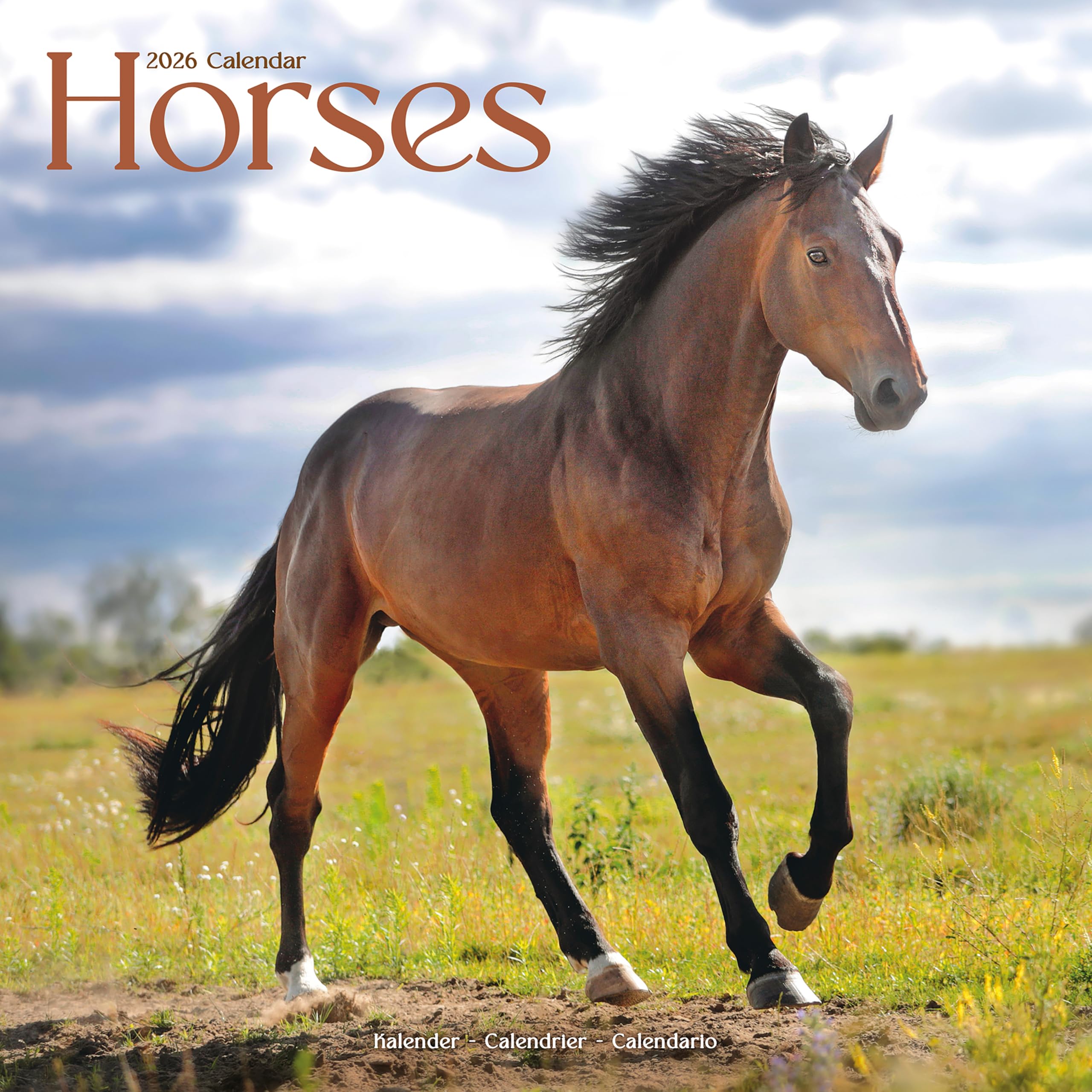 Horses Calendar 2026 Square Horses Wall Calendar - 16 Month Books