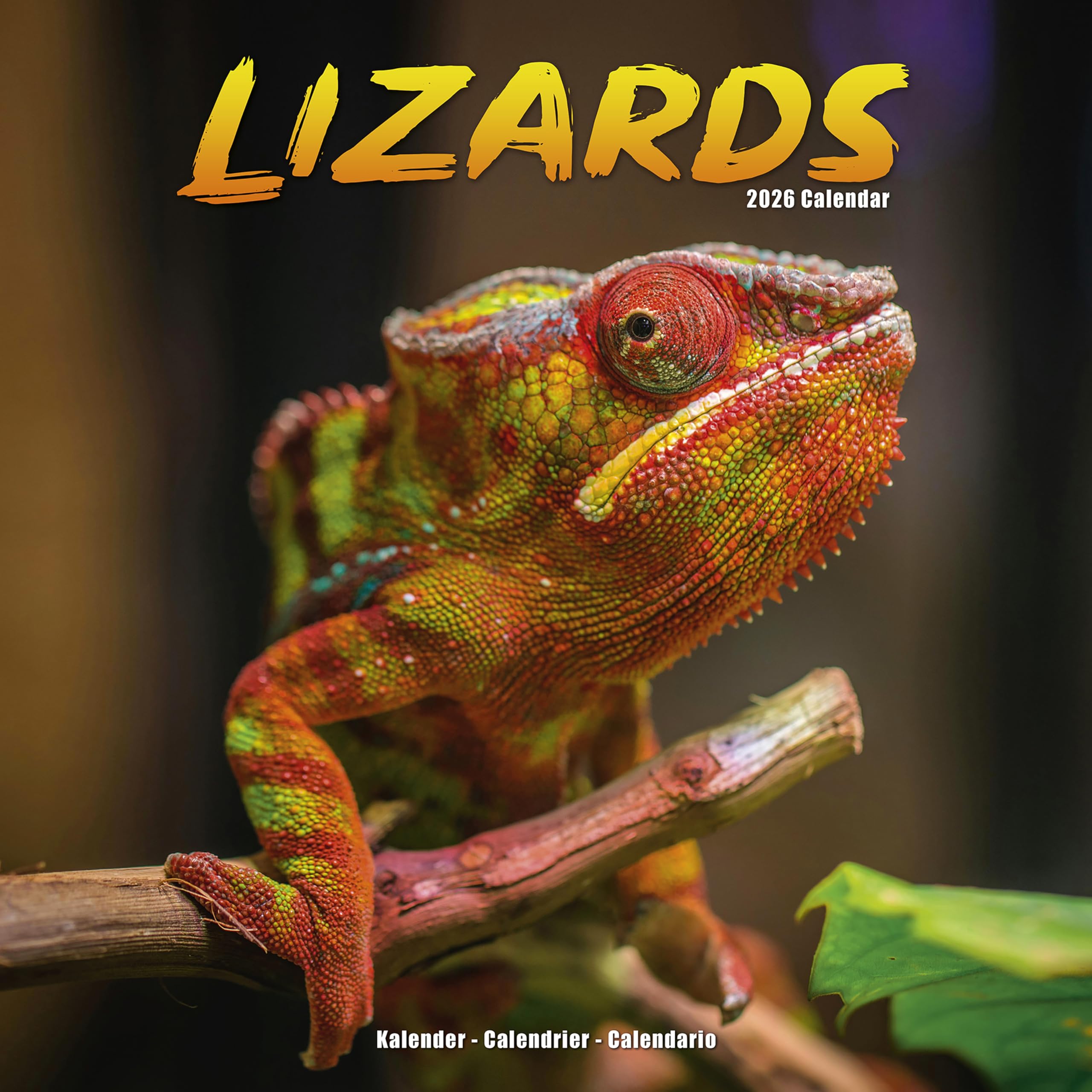 Lizards Calendar 2026 Square Animal Wall Calendar - 16 Month Books