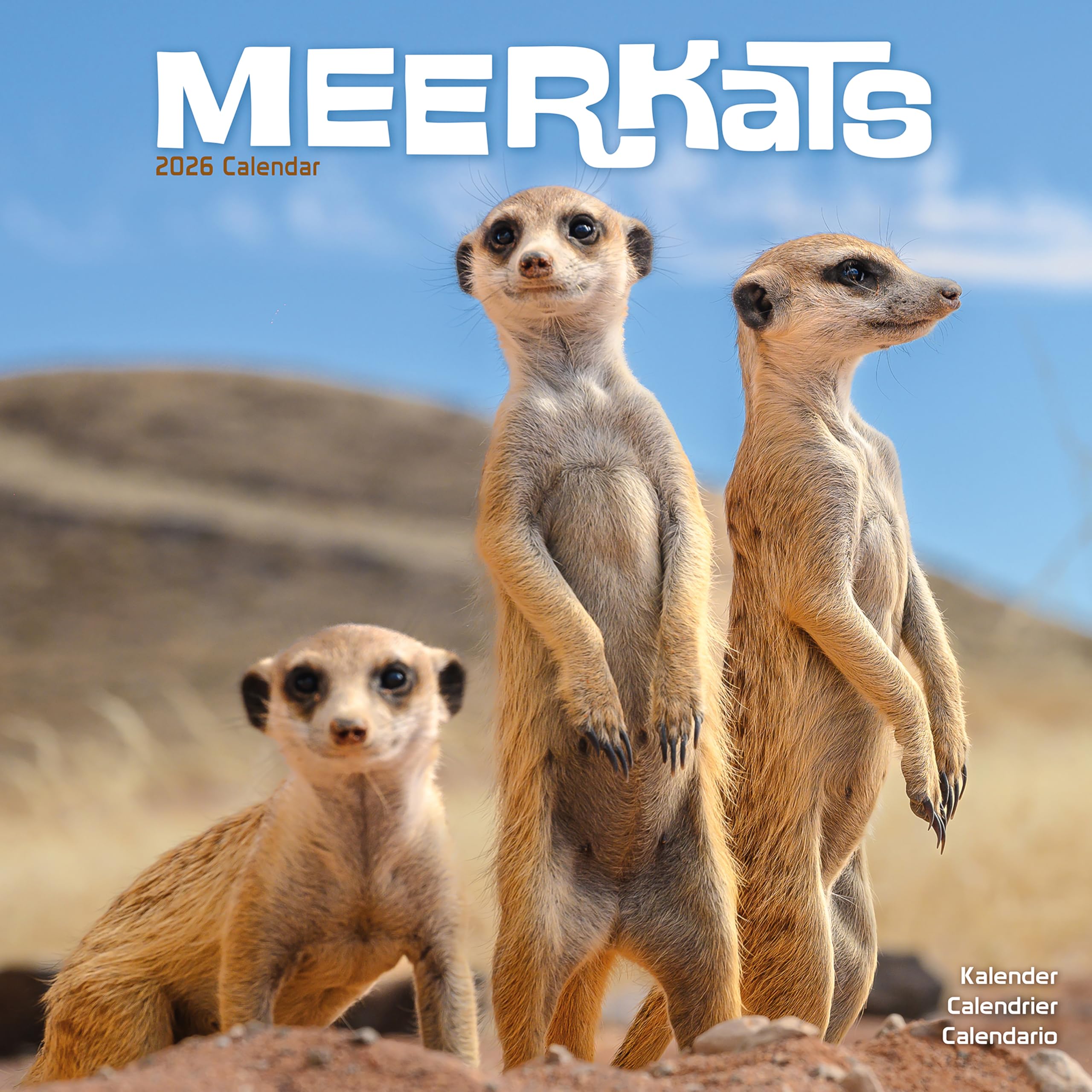 Meerkats Calendar 2026 Square Wildlife Safari Wall Calendar - 16 Month Calendars