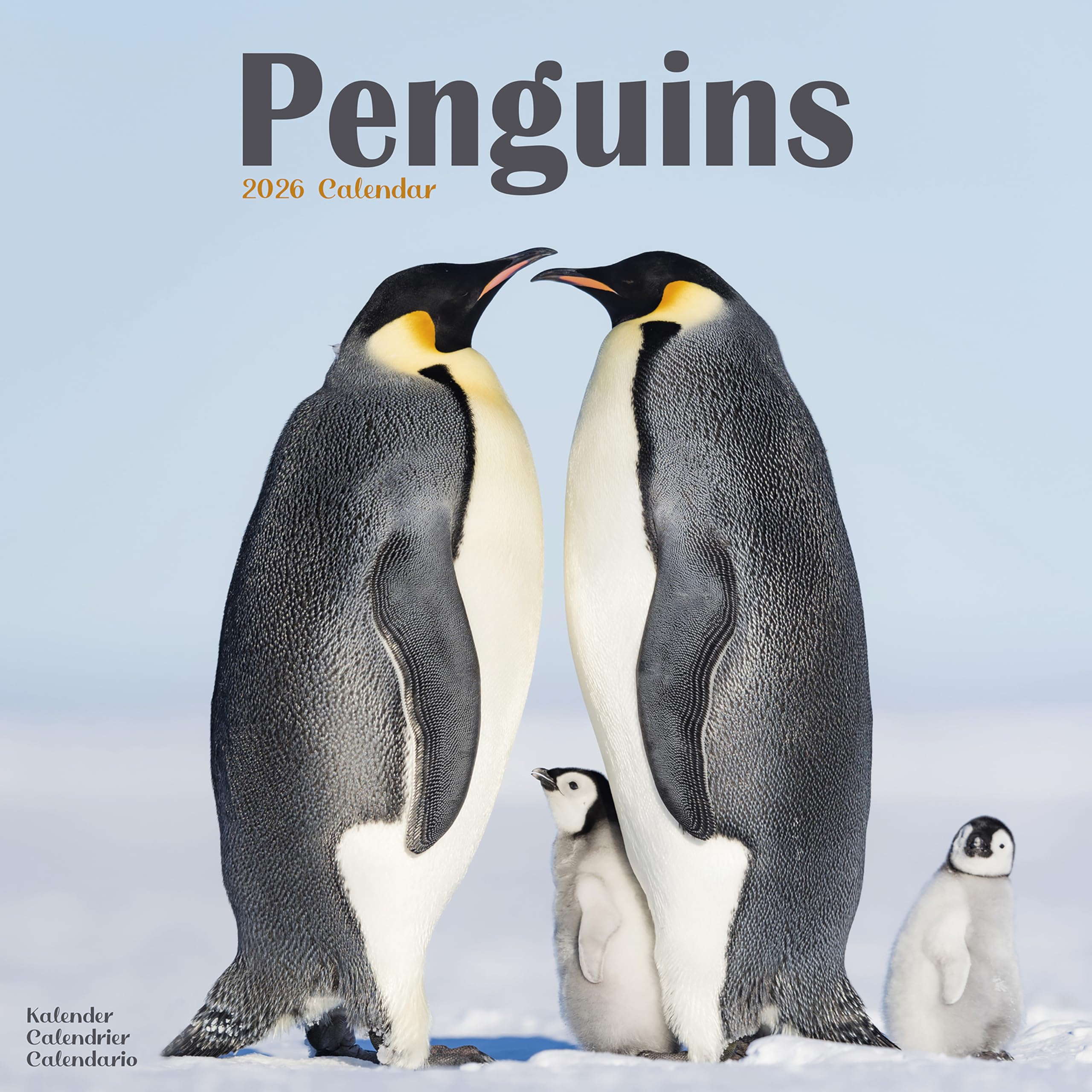 Penguins Calendar 2026 Square Animal Wall Calendar - 16 Month Books
