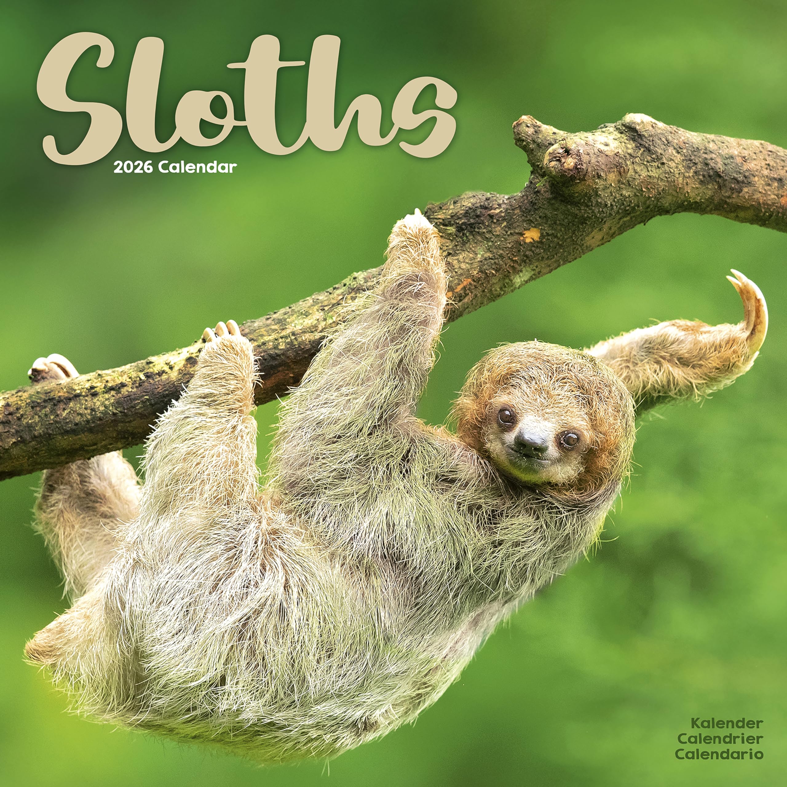 Sloths Calendar 2026 Square Animal Wall Calendar - 16 Month Books