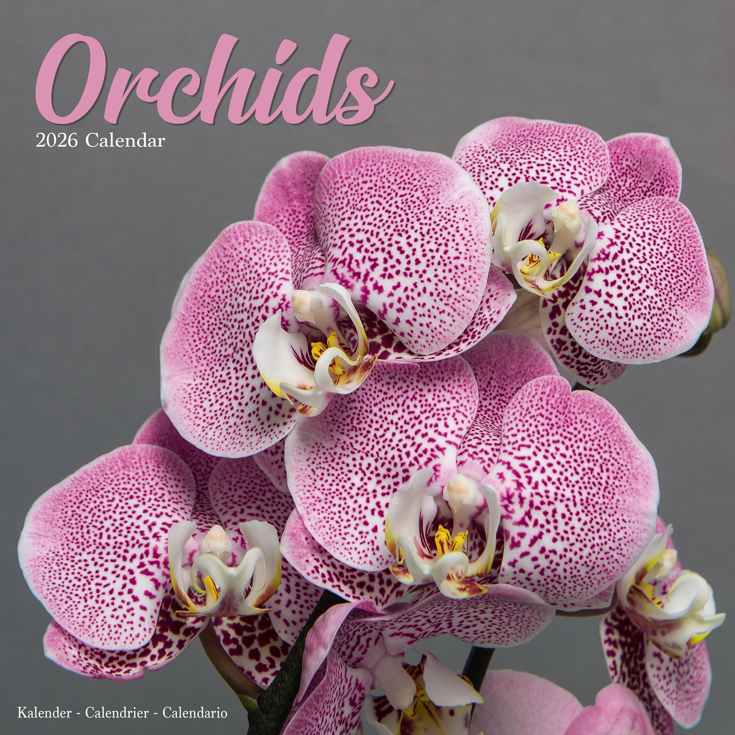 Orchids Calendar 2026 Square Flowers Wall Calendar - 16 Month Books