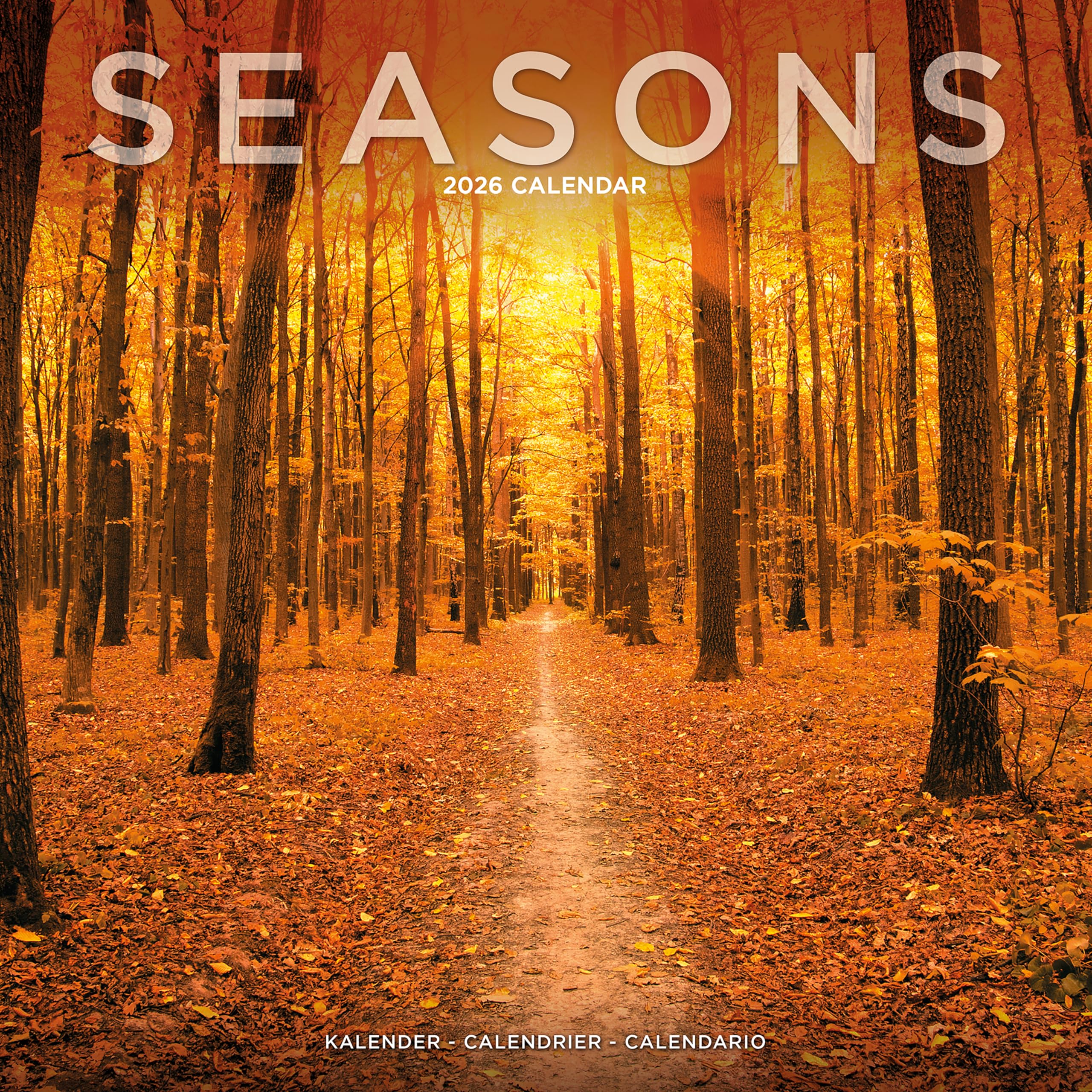 Seasons Calendar 2026 Square Scenic Wall Calendar - 16 Month Books