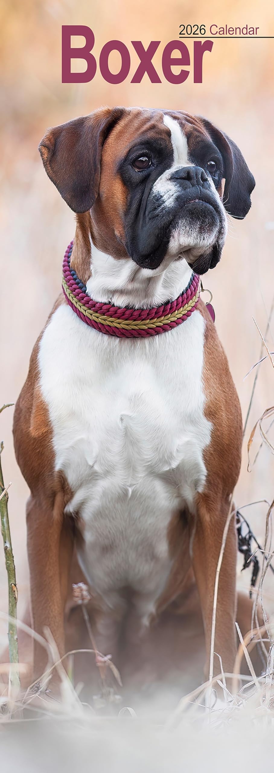 Boxer Slim Calendar 2026 Dog Breed Slimline Calendar - 12 Month Books